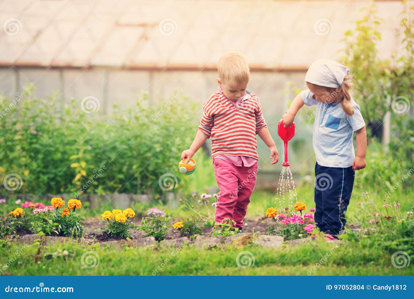 Junge Und Junge, Die Im Garten Spielen Stockfoto Bild von grün