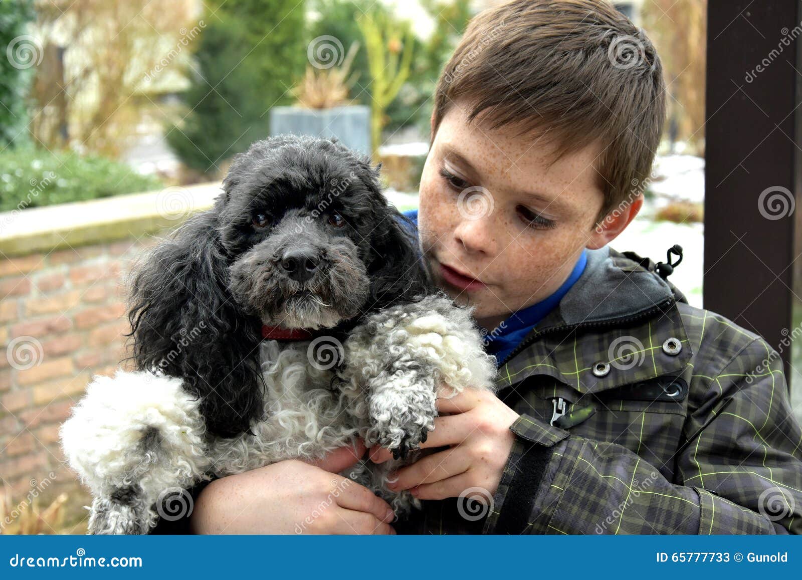Junge und sein Hund stockbild. Bild von seins, freund 65777733