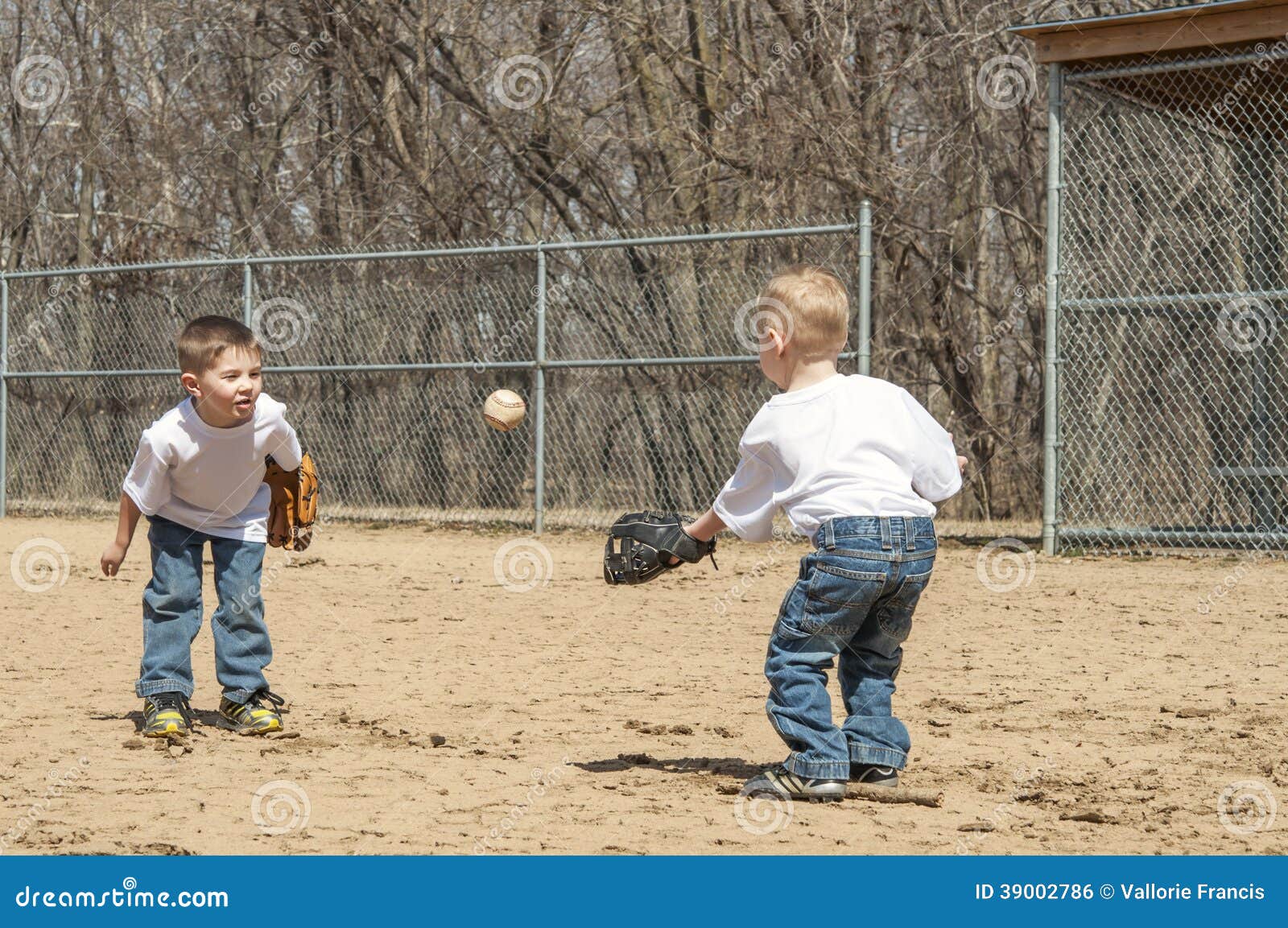 Jungen, Die Baseball Spielen Stockfoto Bild von spielen, kinder 39002786