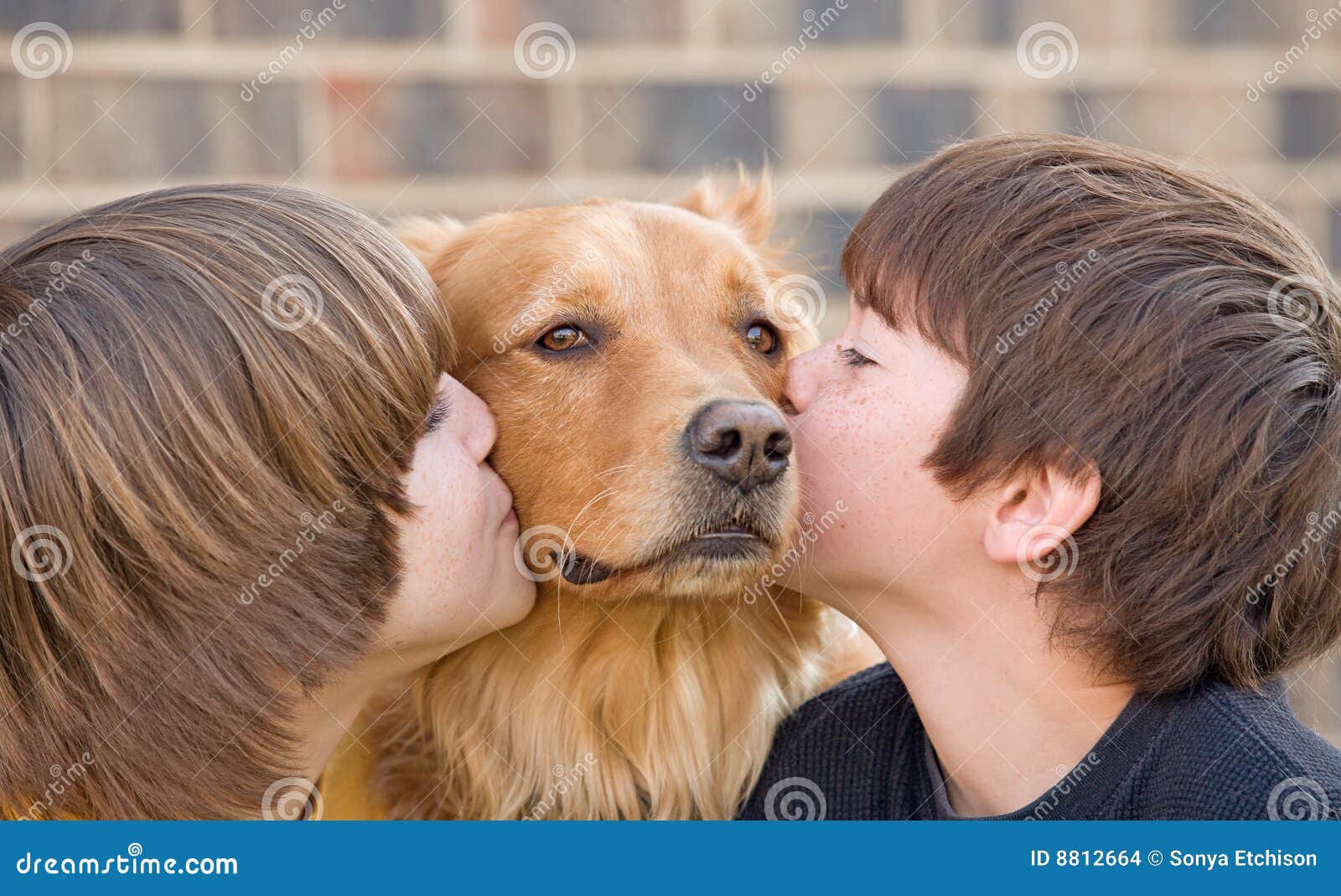 Jungen, Die Einen Hund Küssen Stockfoto Bild von hund, jungen 8812664