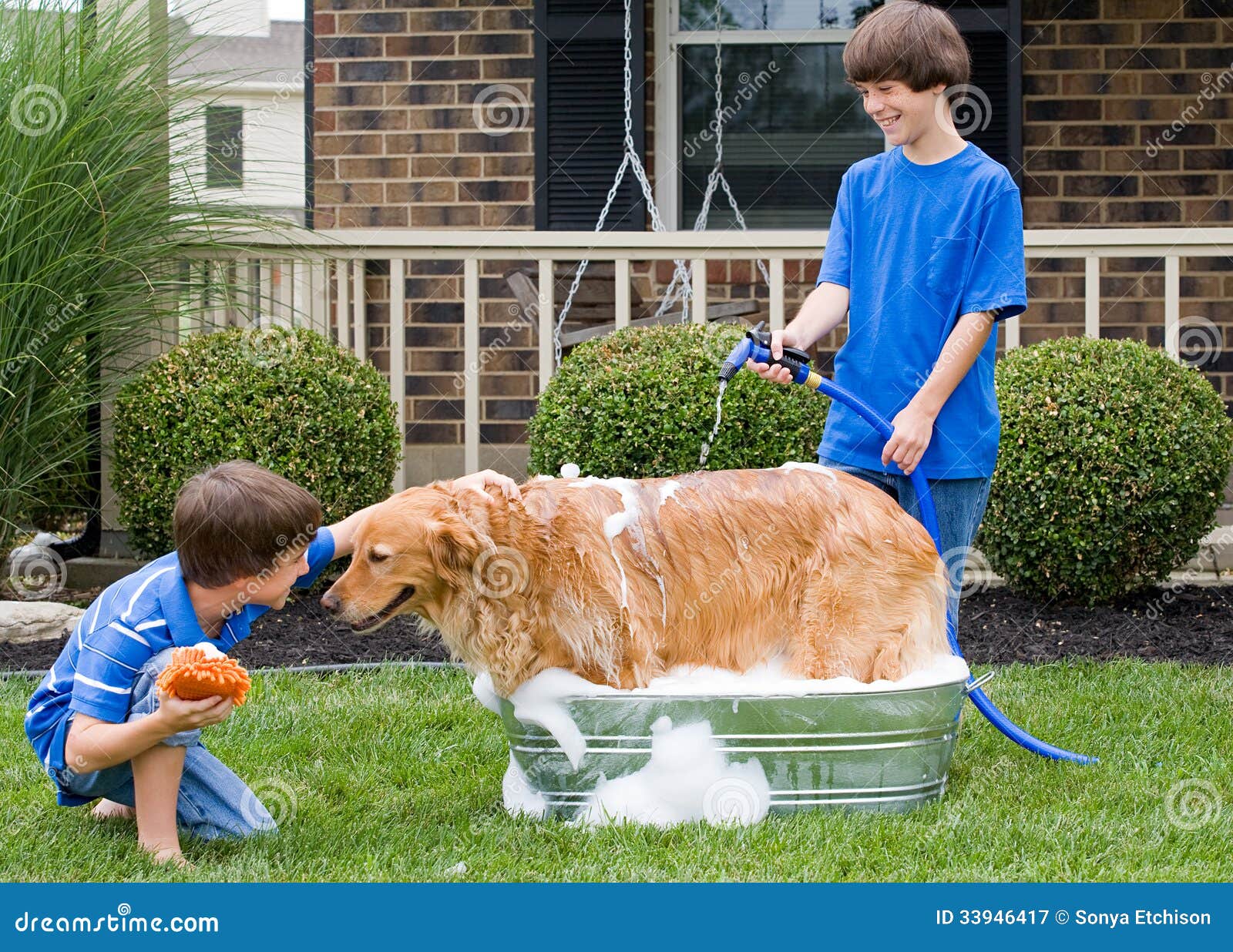 Jungen, Die Hund Ein Bad Geben Stockbild Bild von kind, tiere 33946417