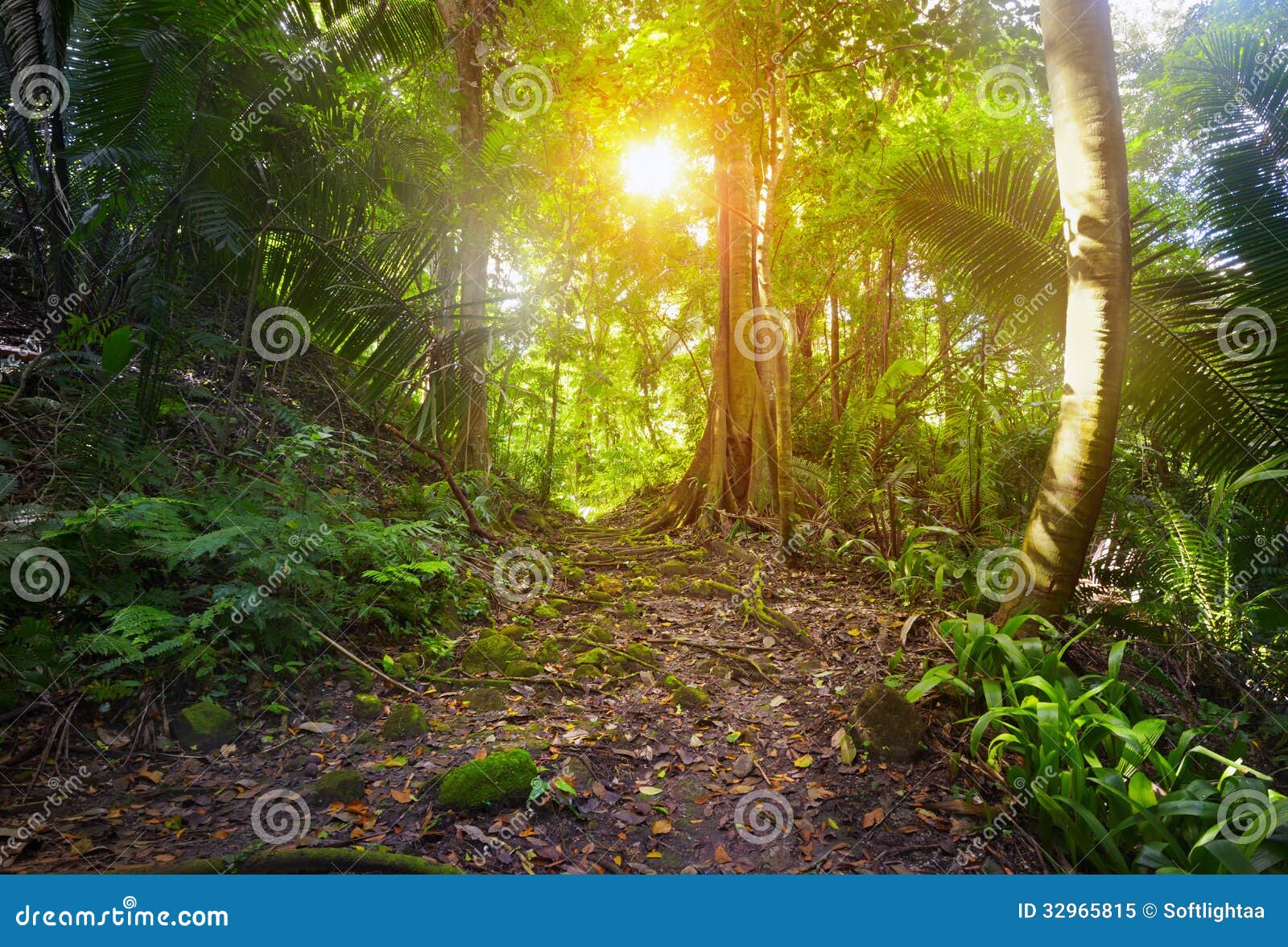 in the jungle, the archaeological park cebal, guatemala