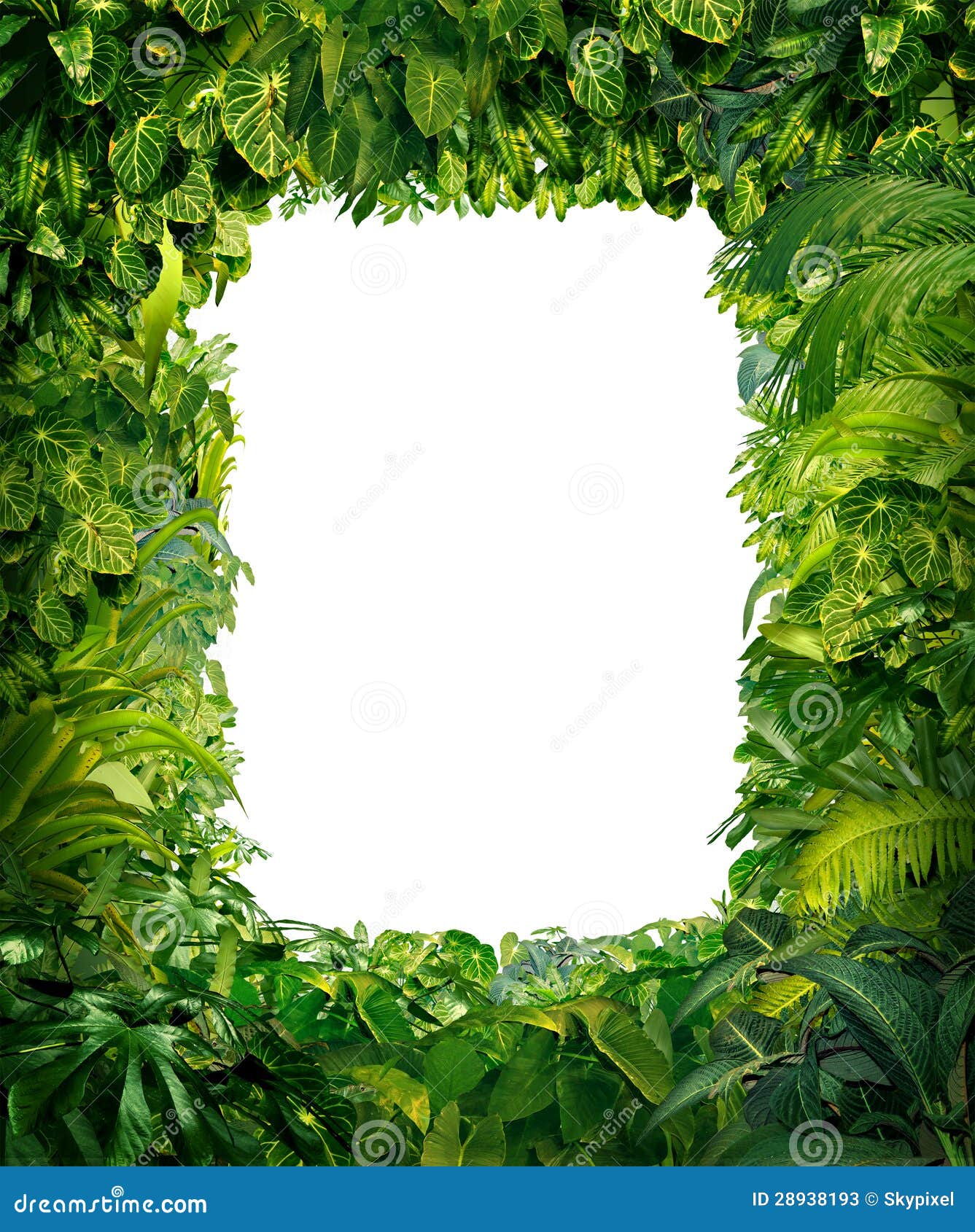 jungle border