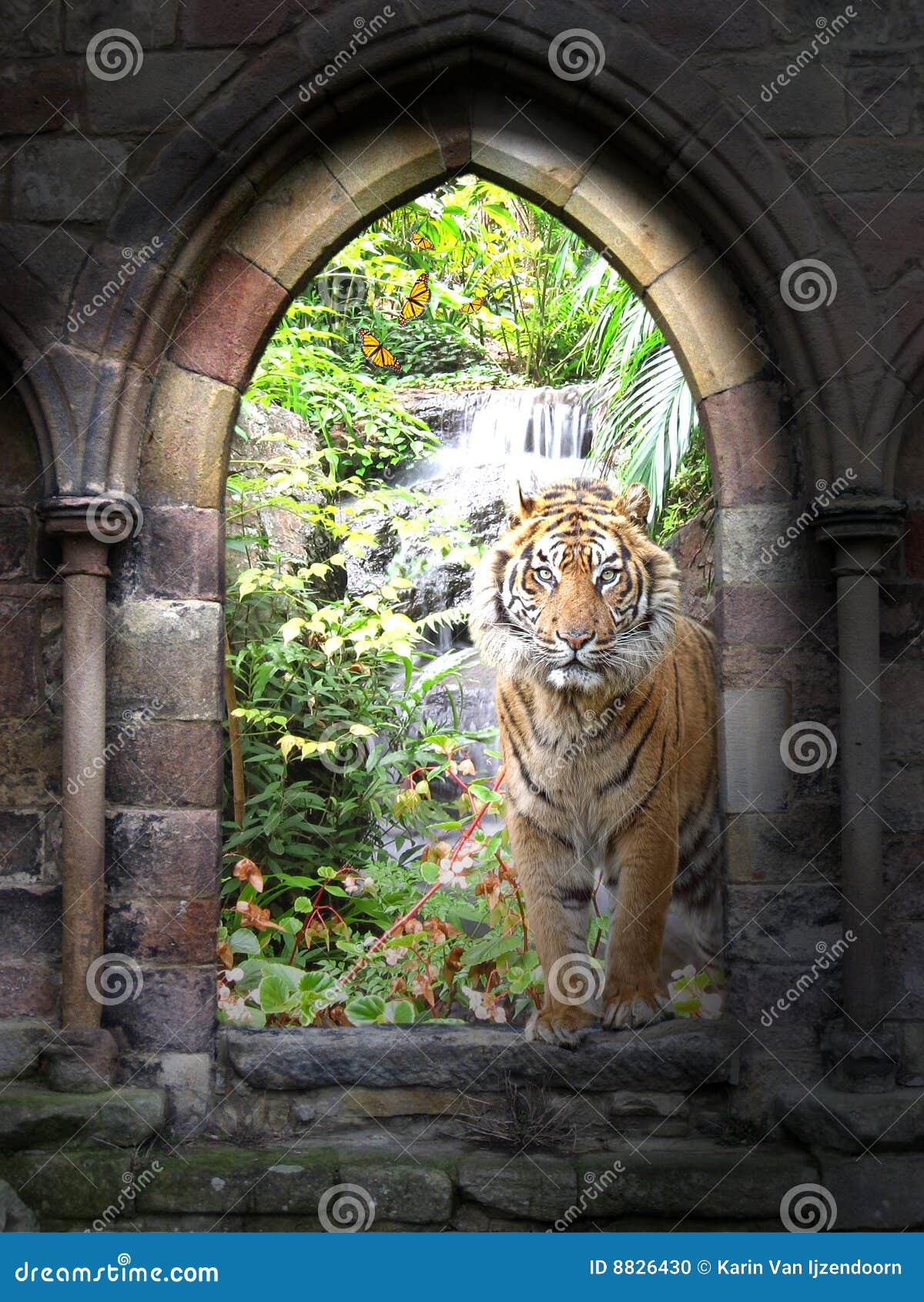 jungle gateway