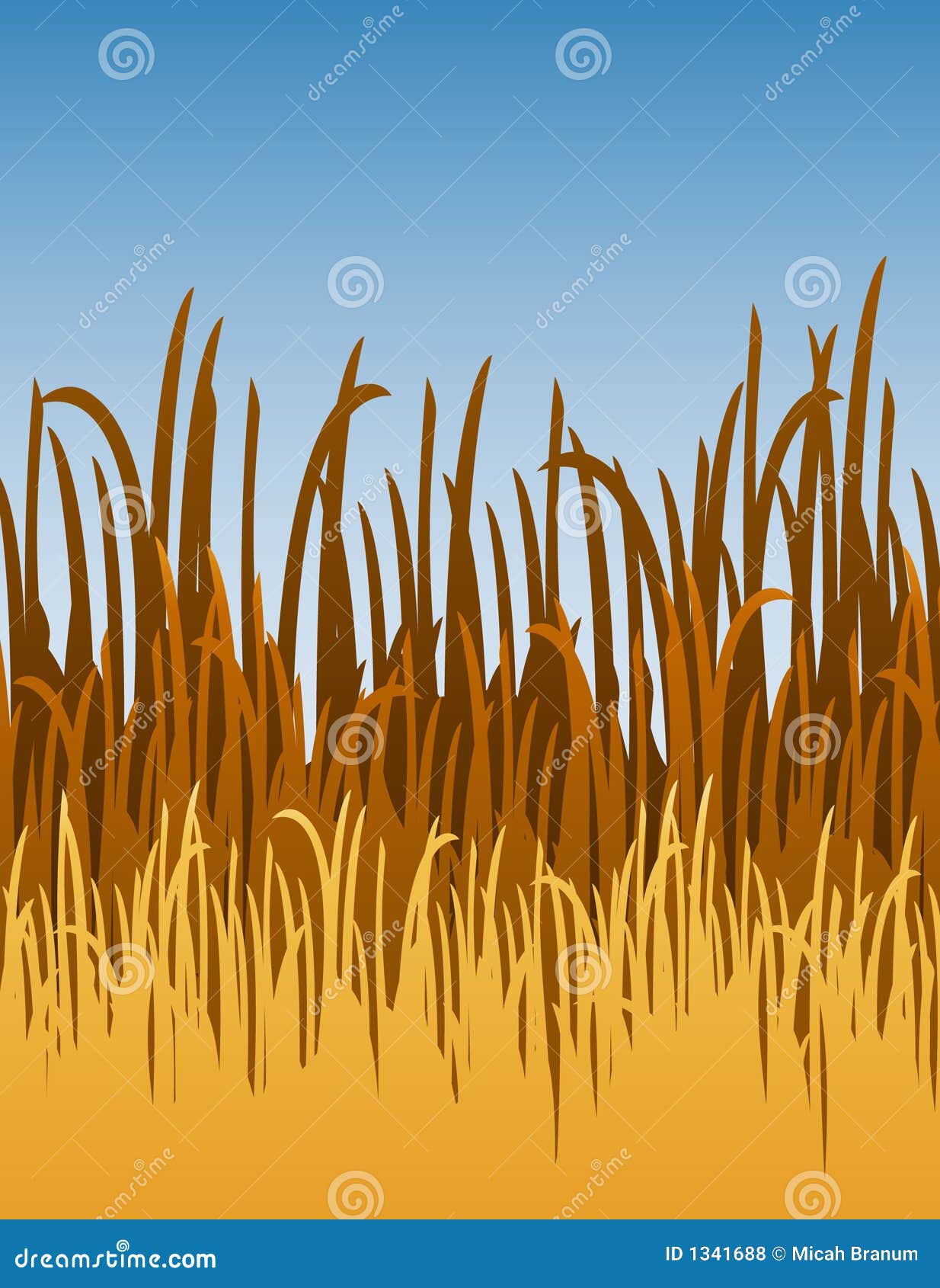 jungle grass clip art - photo #25