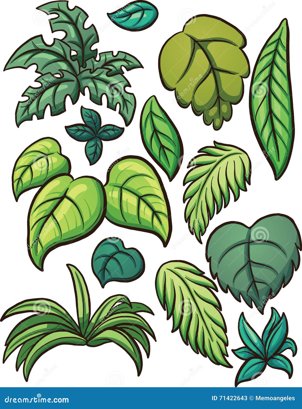 Jungle leaves stock vector. Illustration of isolated - 71422643 Jungle leaves stock vector. Illustration of isolated - 71422643