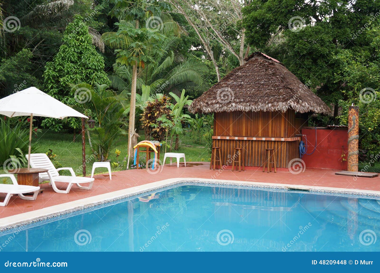 jungle pool getaway