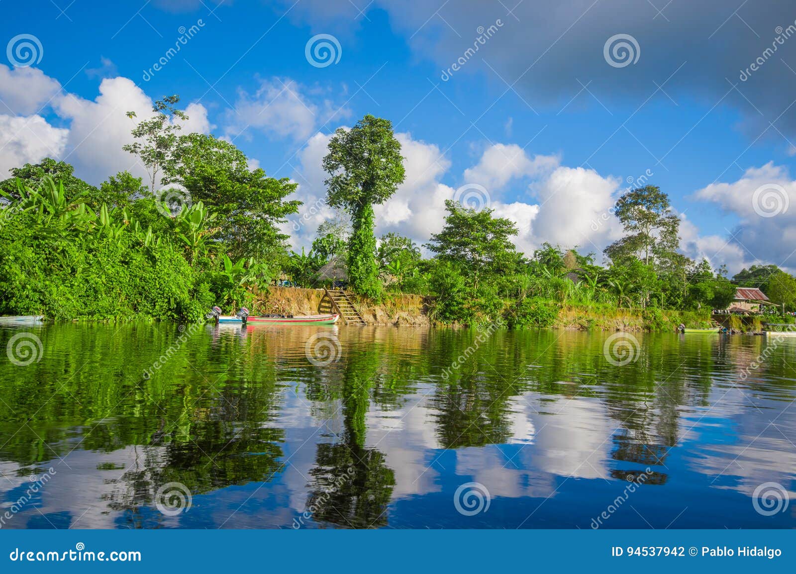 Jungle Reflected on the River, Inside of the Amazon Rain Forest of