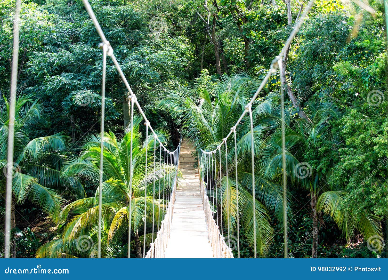 Jungle Gym Rope Royalty-Free Stock Photography | CartoonDealer.com ...