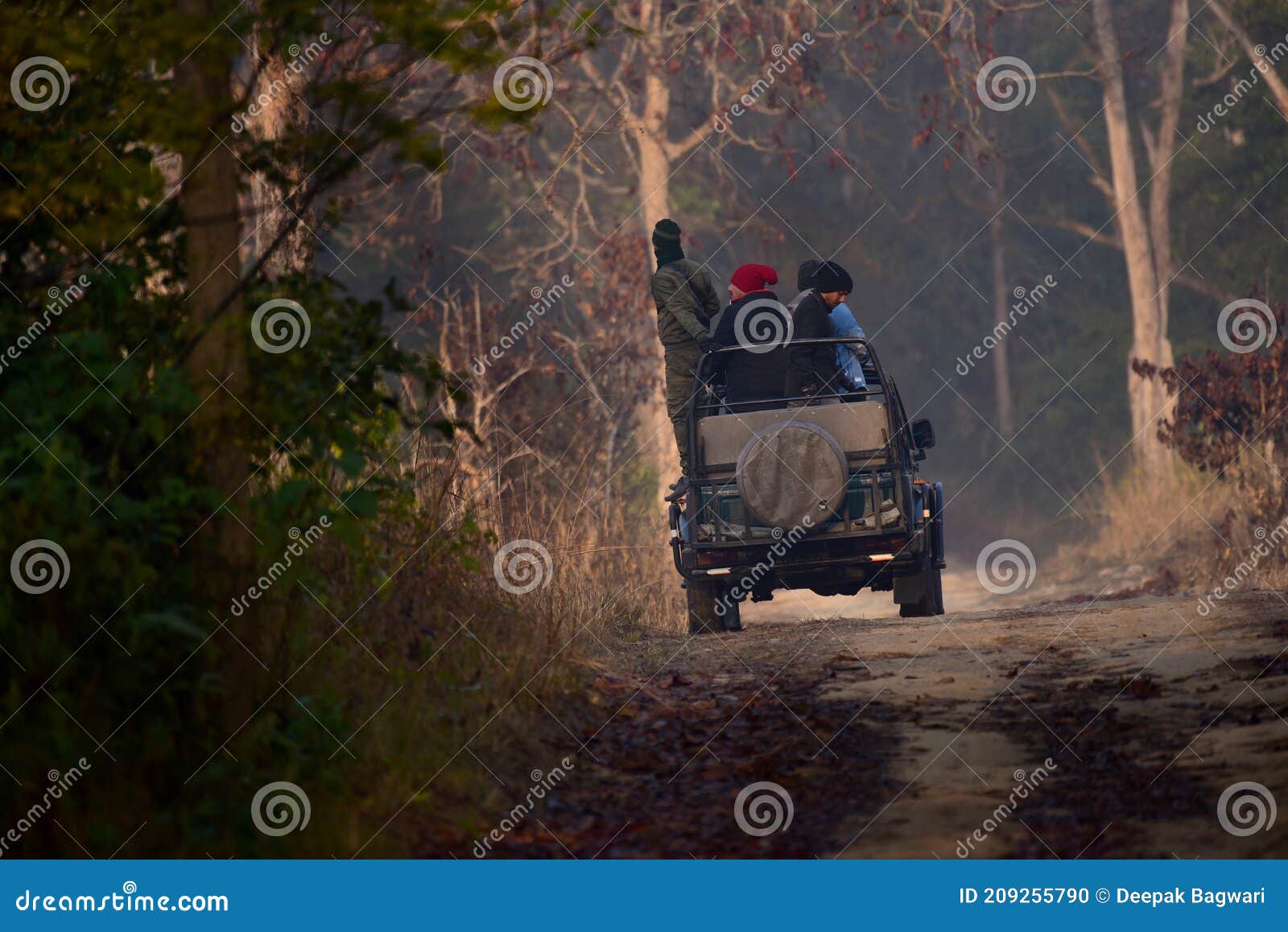 jungle safari in jim corbett national park, uttarakhand.