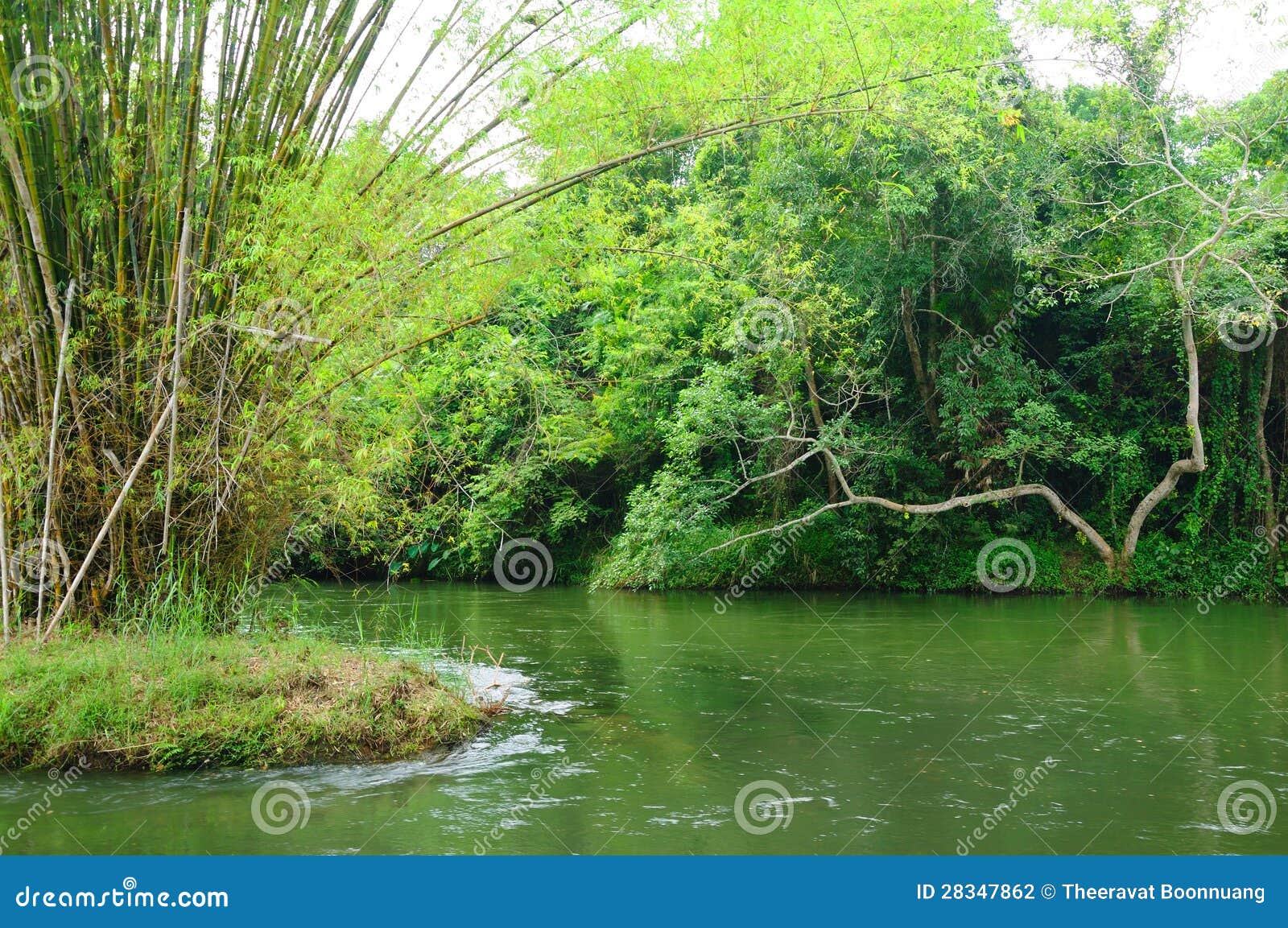 Jungle Scenery Stock Photography - Image: 28347862