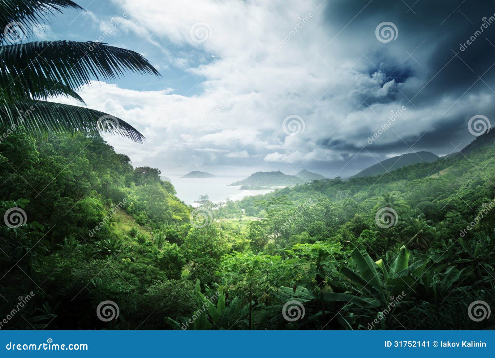 jungle of seychelles island