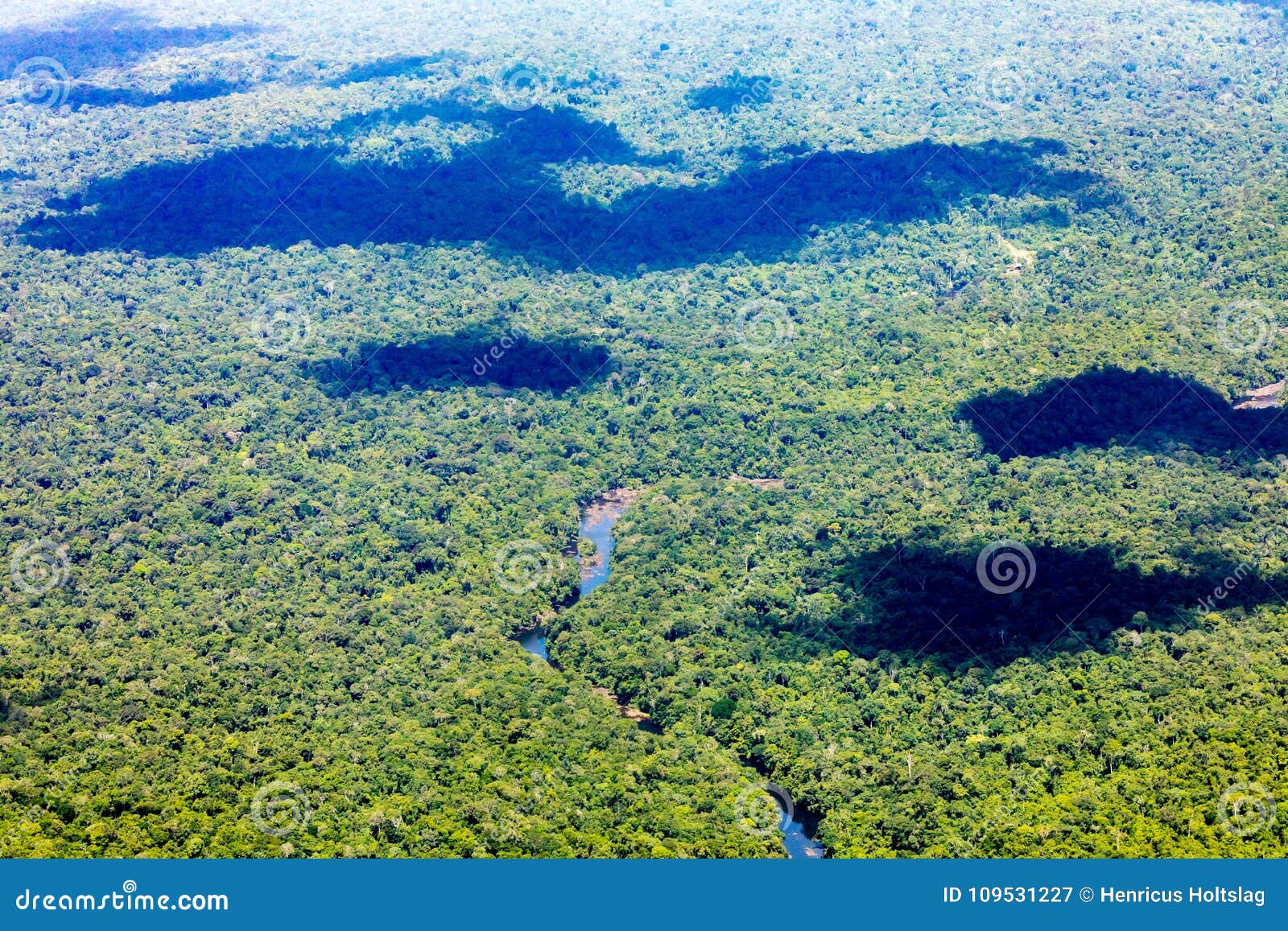jungle of surinam by air