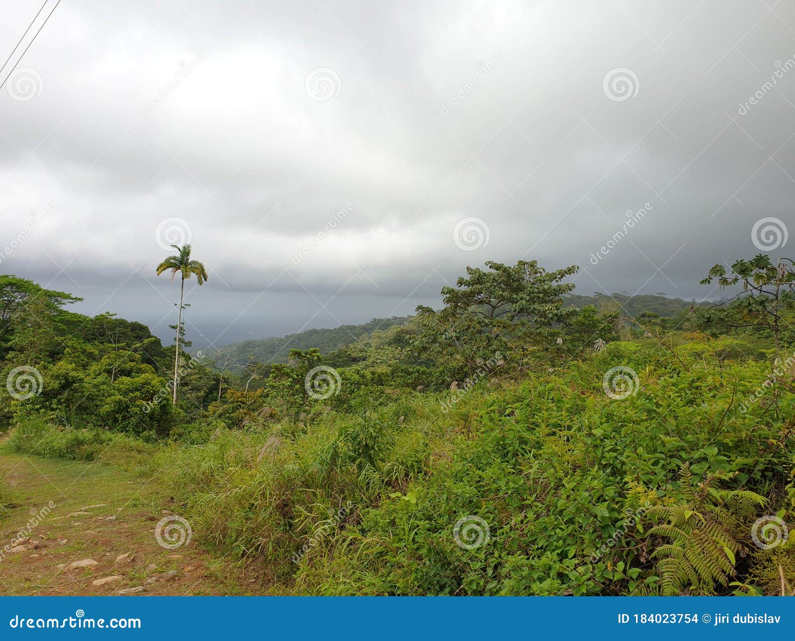 jungle valley in costarica