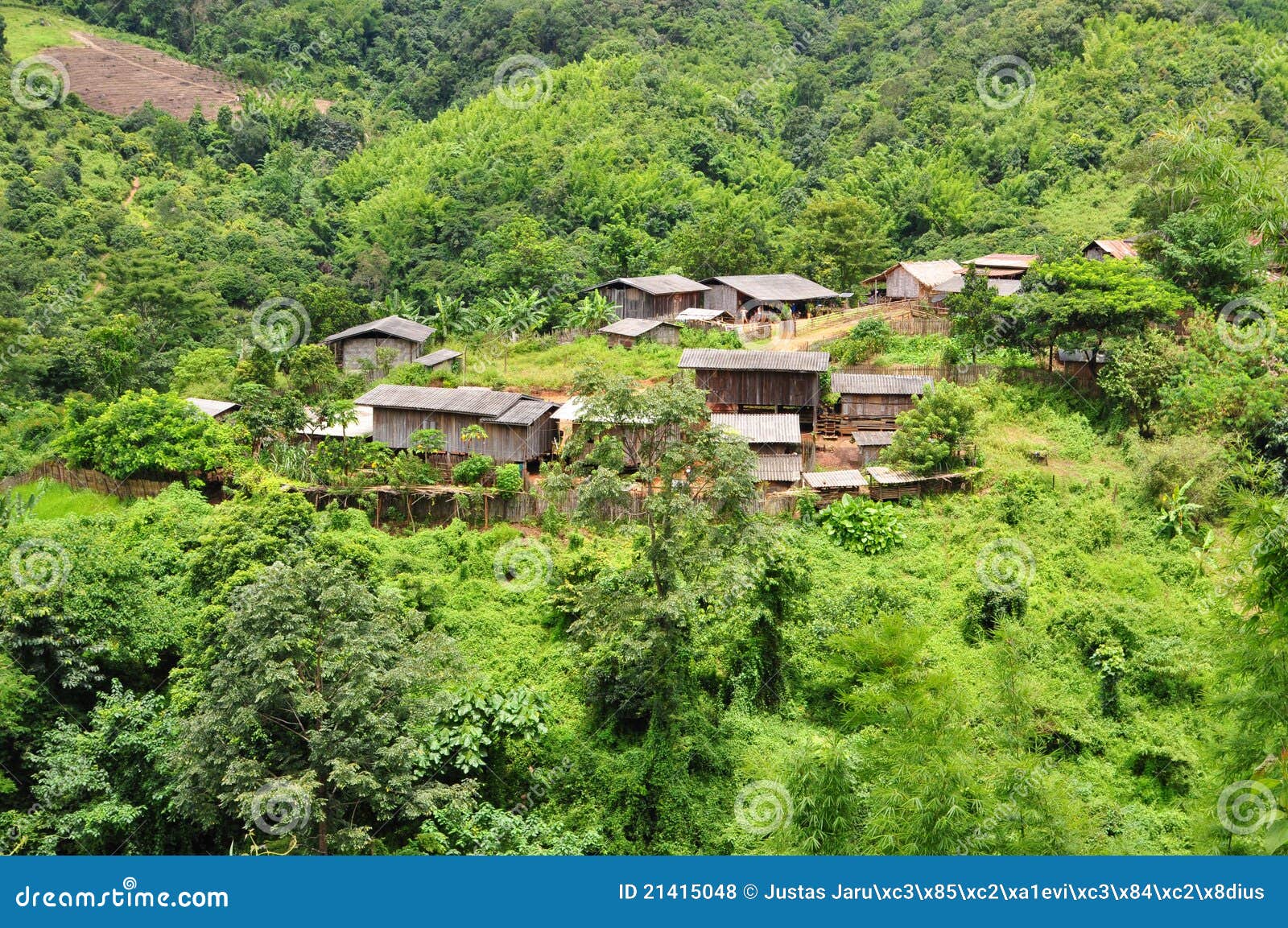 Jungle Village Royalty Free Stock Photos Image 21415048