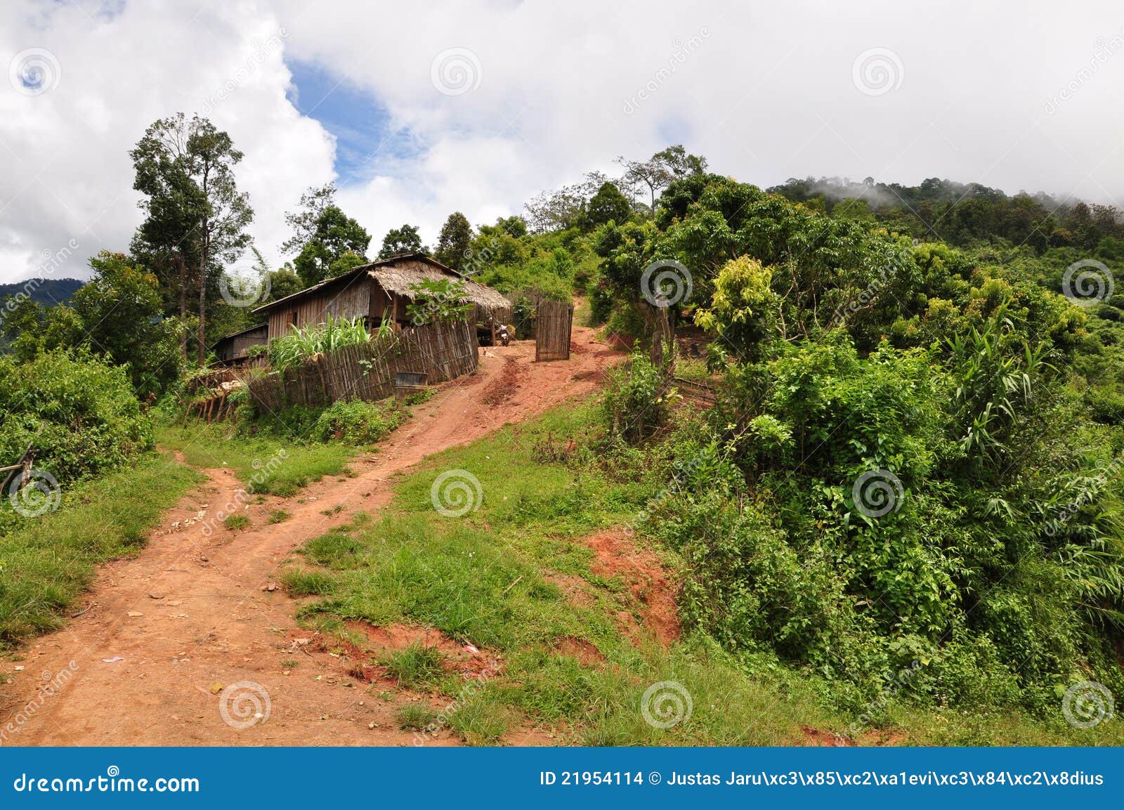 Jungle village stock photo. Image of shack, jungle, small 21954114