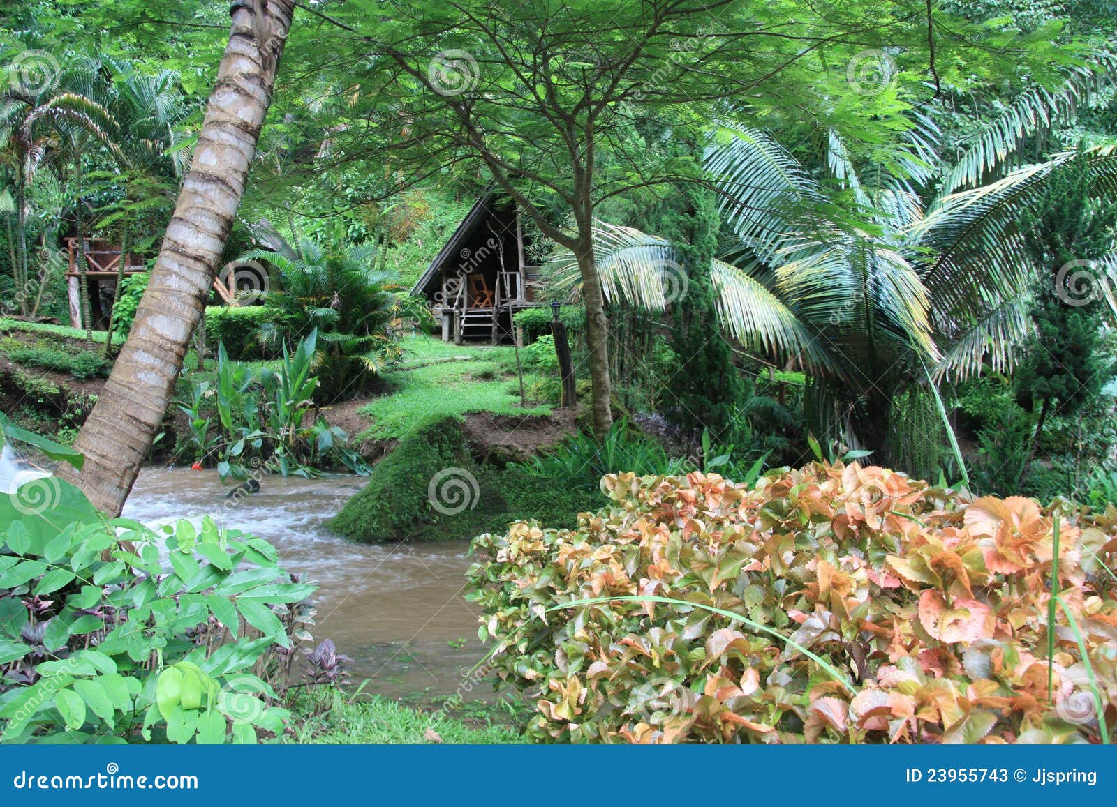 Jungle village stock image. Image of minority, botany 23955743