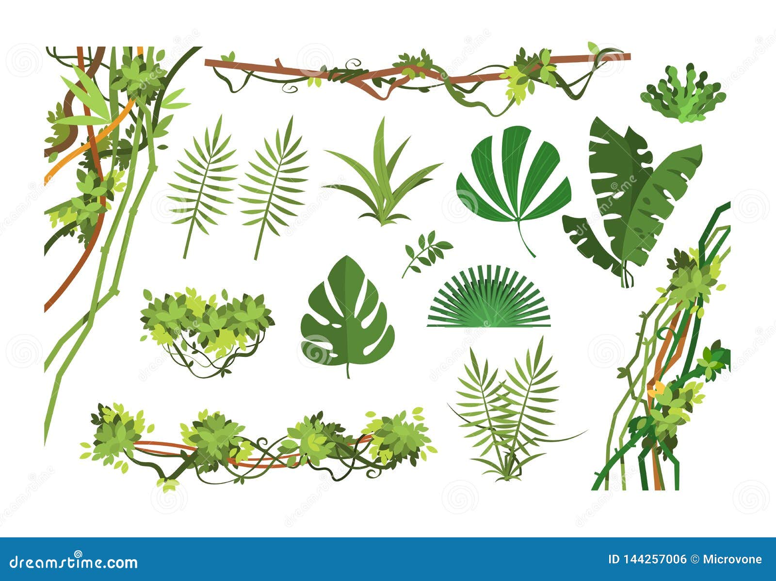jungle vine. cartoon rainforest leaves and liana overgrown plants.   set