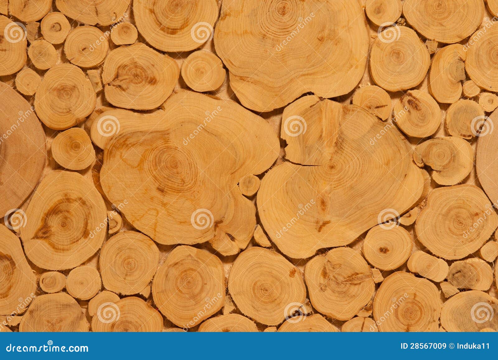 Juniper stock image. Image of juniperus, wood, handwork 28567009