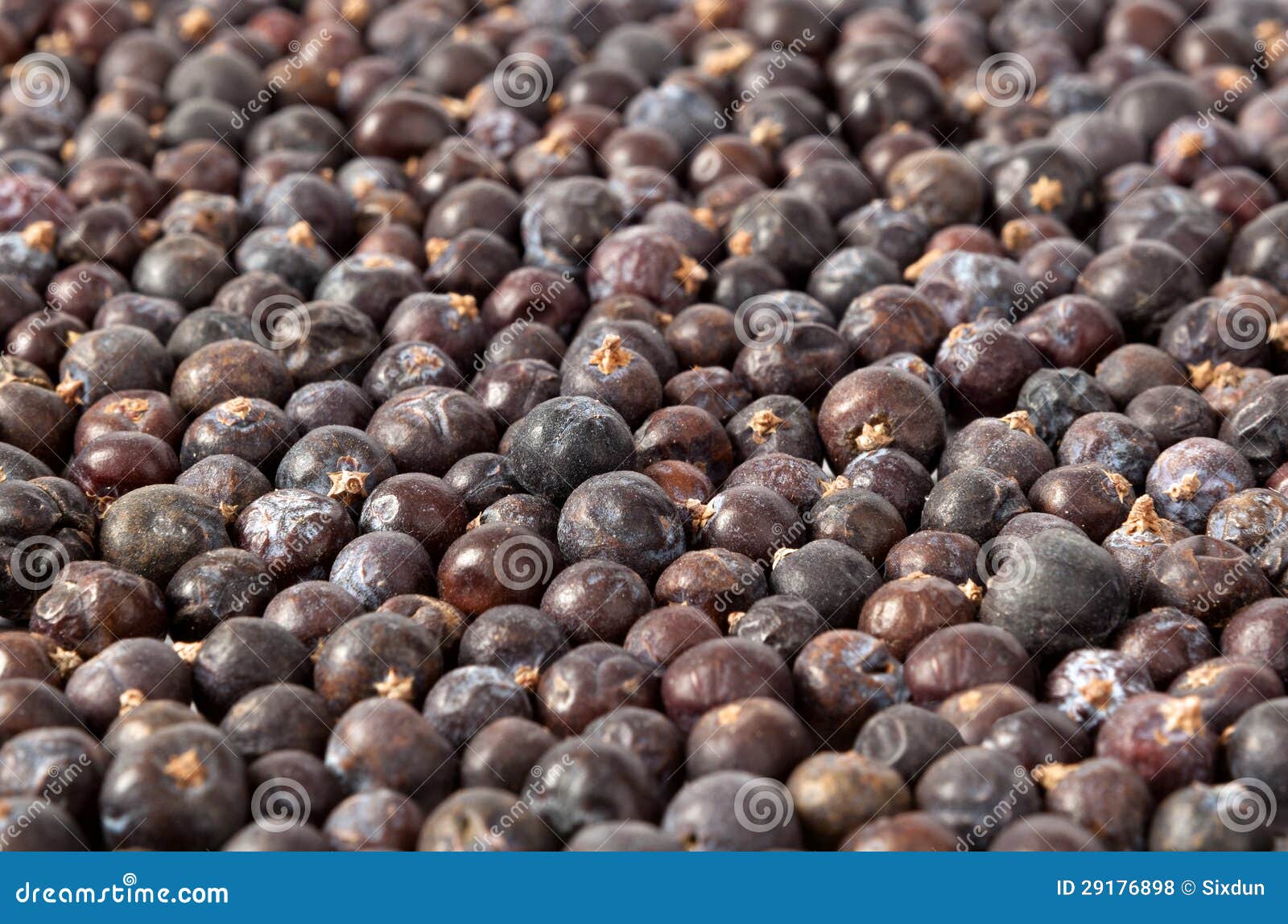 Juniper berries stock photo. Image of seasoning, cocktail 29176898