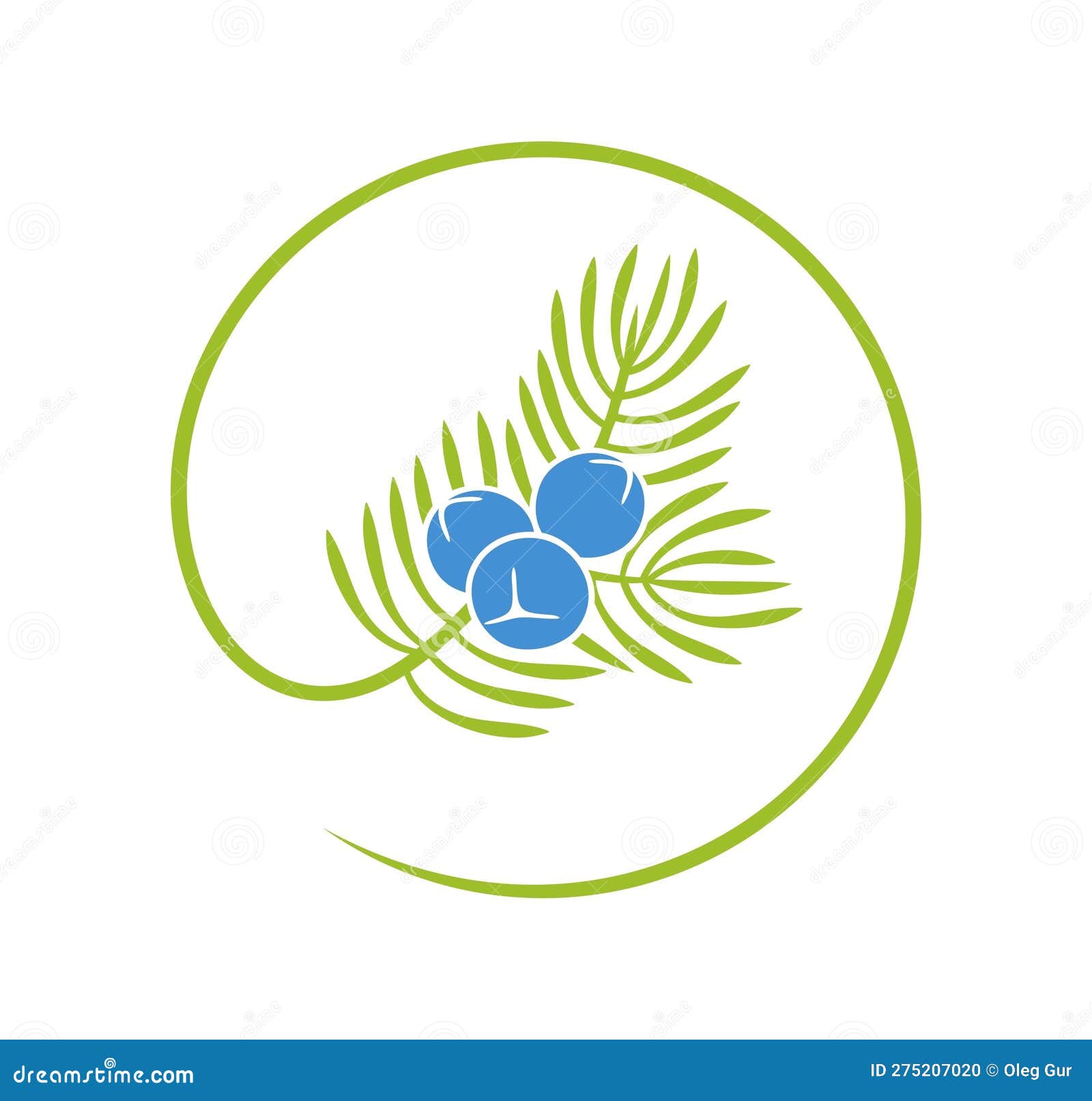 Juniper Berries Logo. Isolated Juniper Berries on White Background
