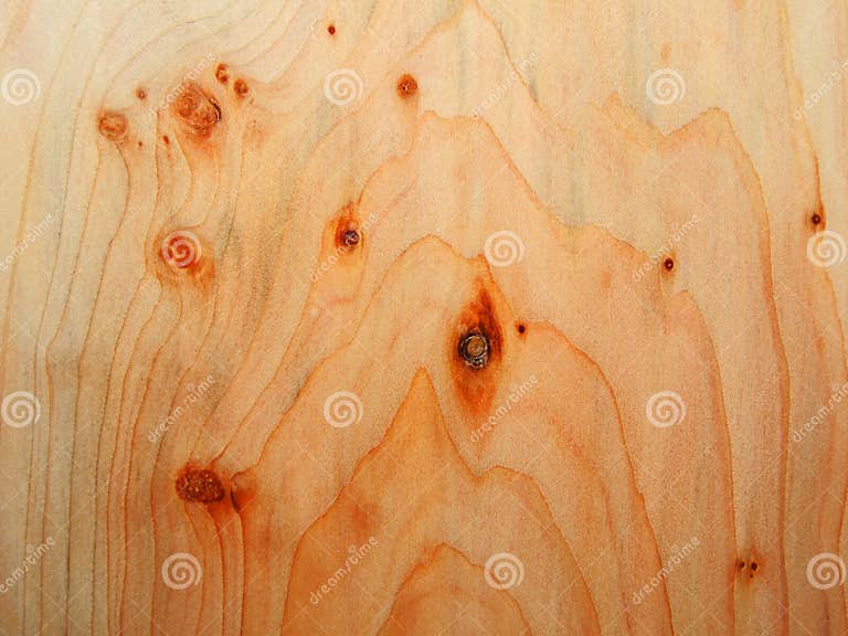 Juniper wood texture stock image. Image of timber, grain 66021975