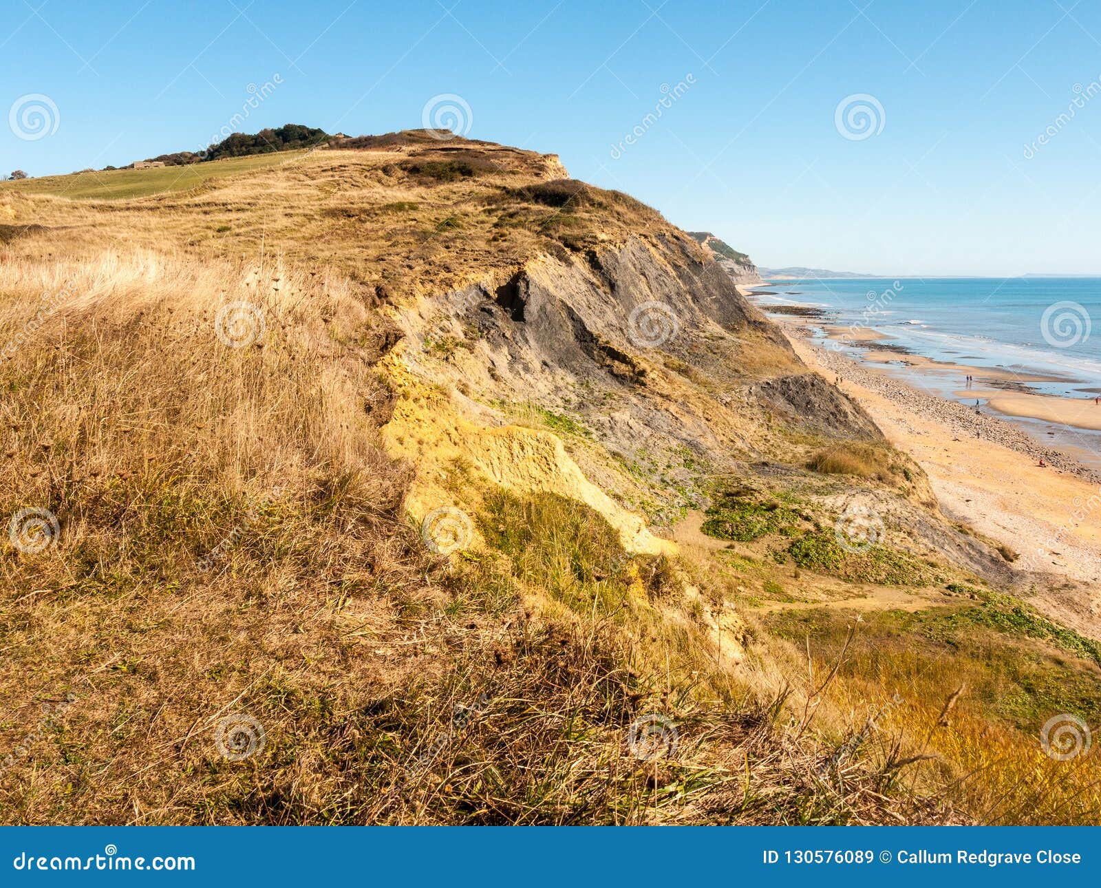 jurassic coast charmouth dorset cliffs rocks landscape nature to