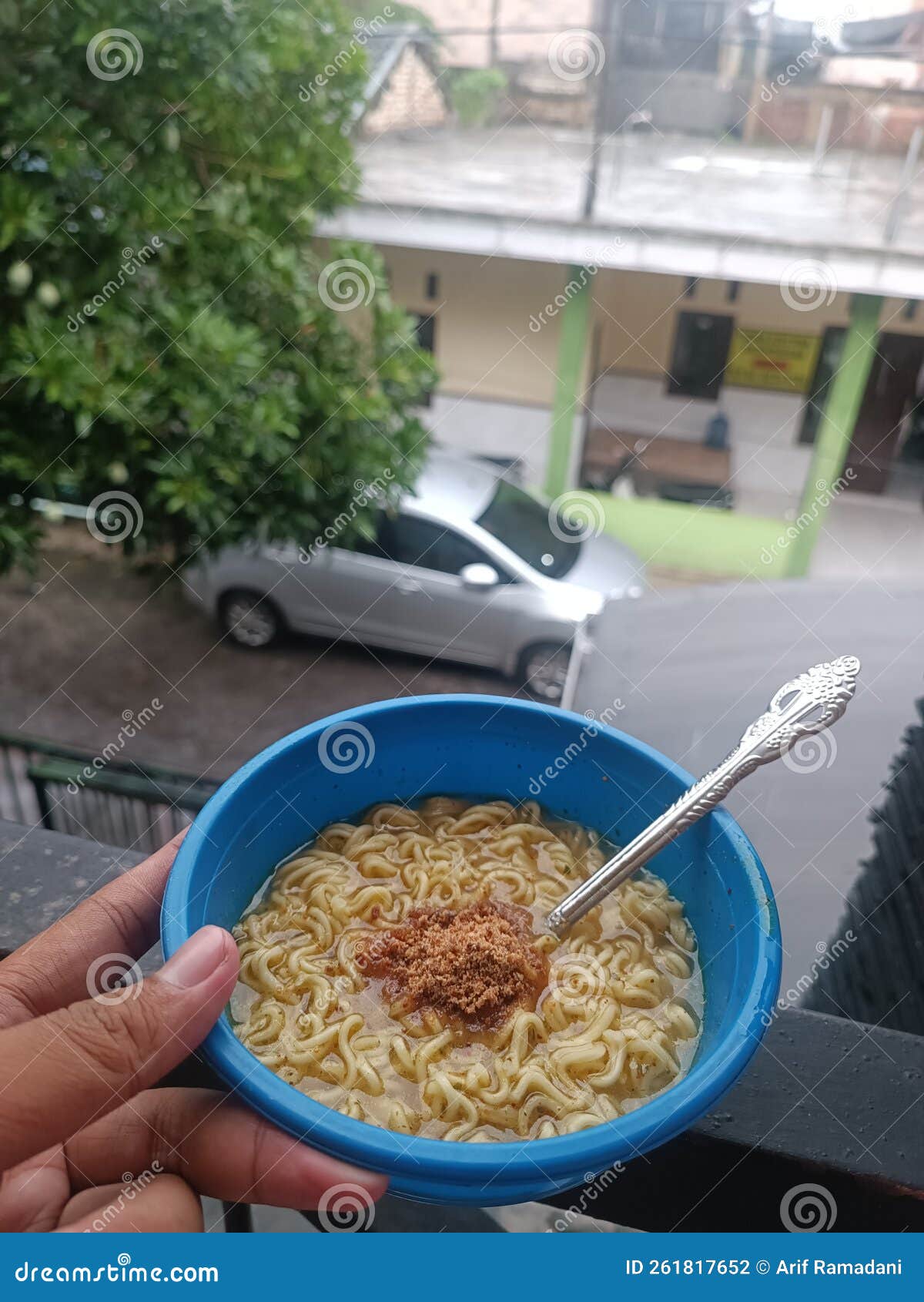 Just a Noodles and the Rain Stock Photo Image of hunt, rain 261817652