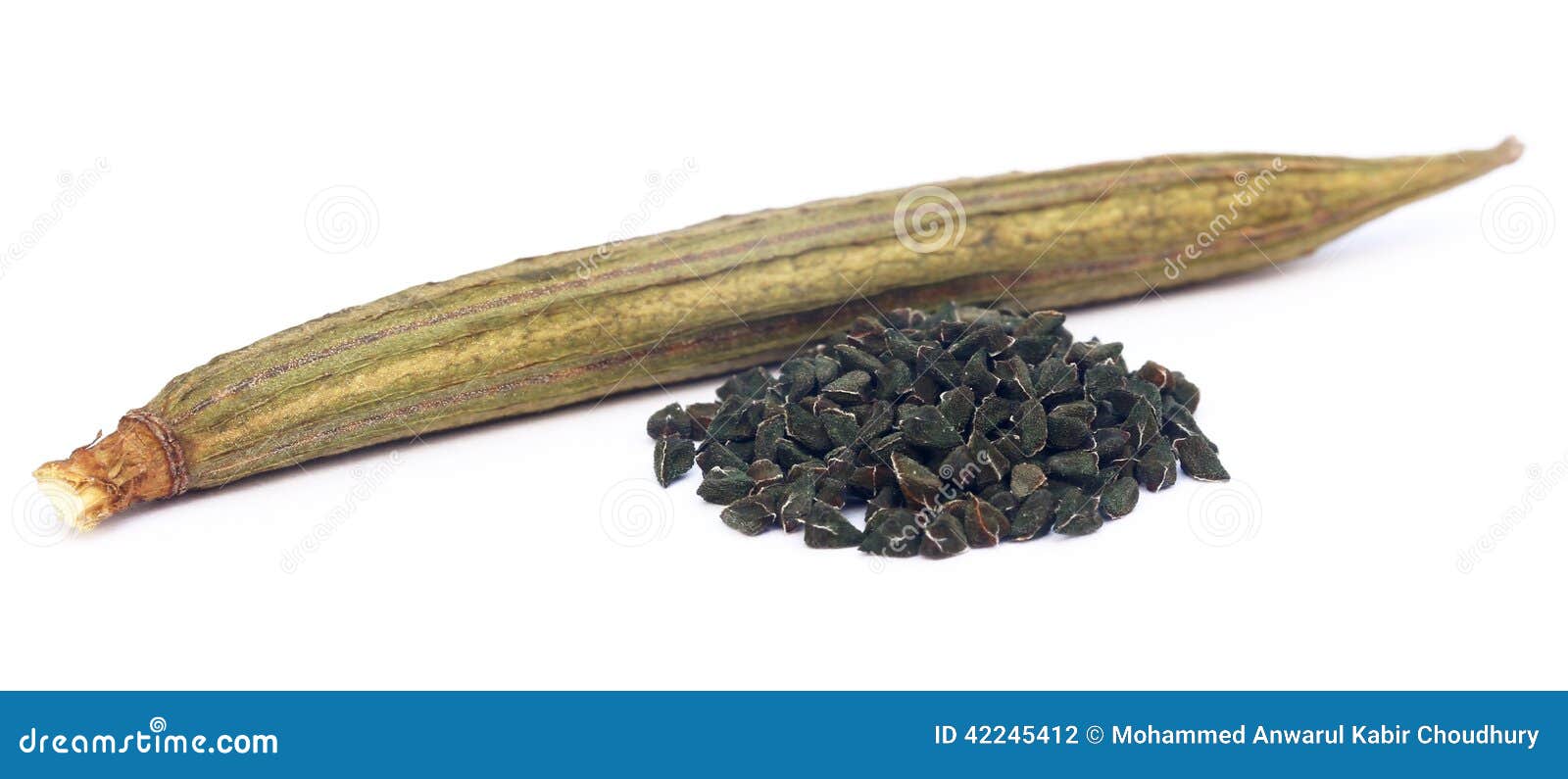 Jute seeds stock photo. Image of black, green, seed, dried 42245412