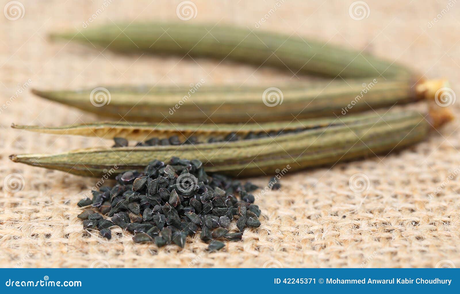Jute seeds stock image. Image of seed, retro, dried, element 42245371