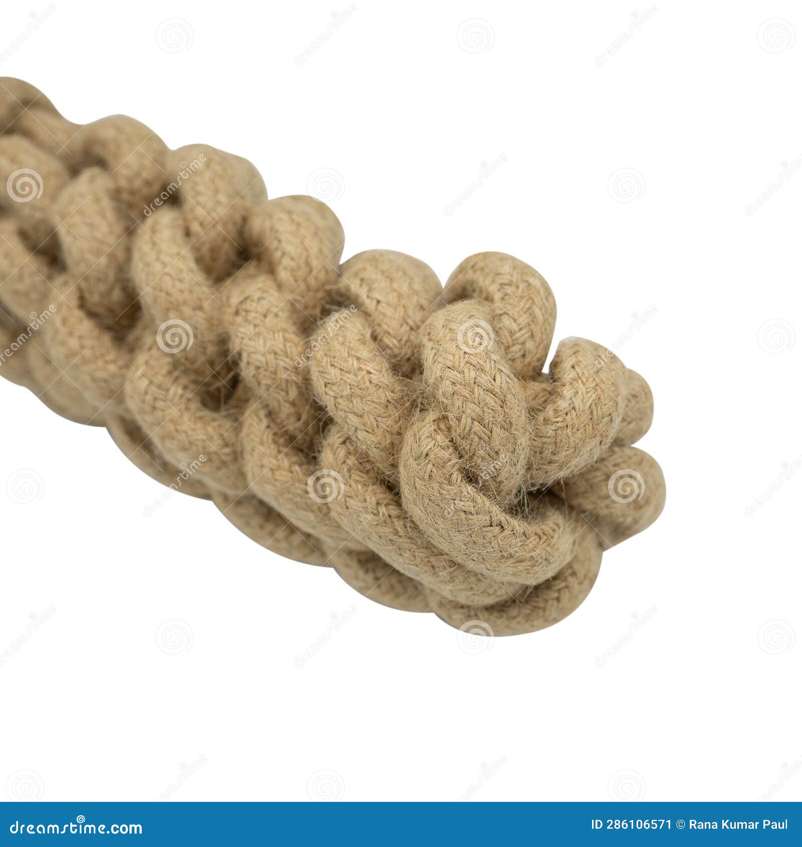 Jute Strong Ropes Collar for Dogs Stock Image Image of knot, farming