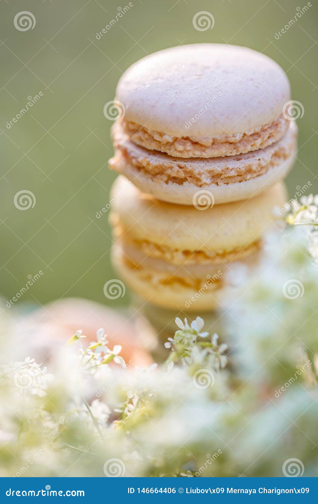 Kostliches Susses Luftiges Franzosisches Geback Nachtischbonbons Macarons Stockfoto Bild Von Macarons Geback