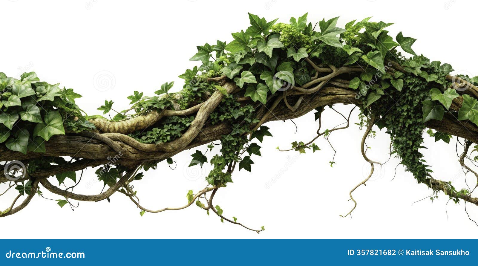 8k aigenerated surreal nature twisted branch with ivy a whimsical and eerie fantasy scene