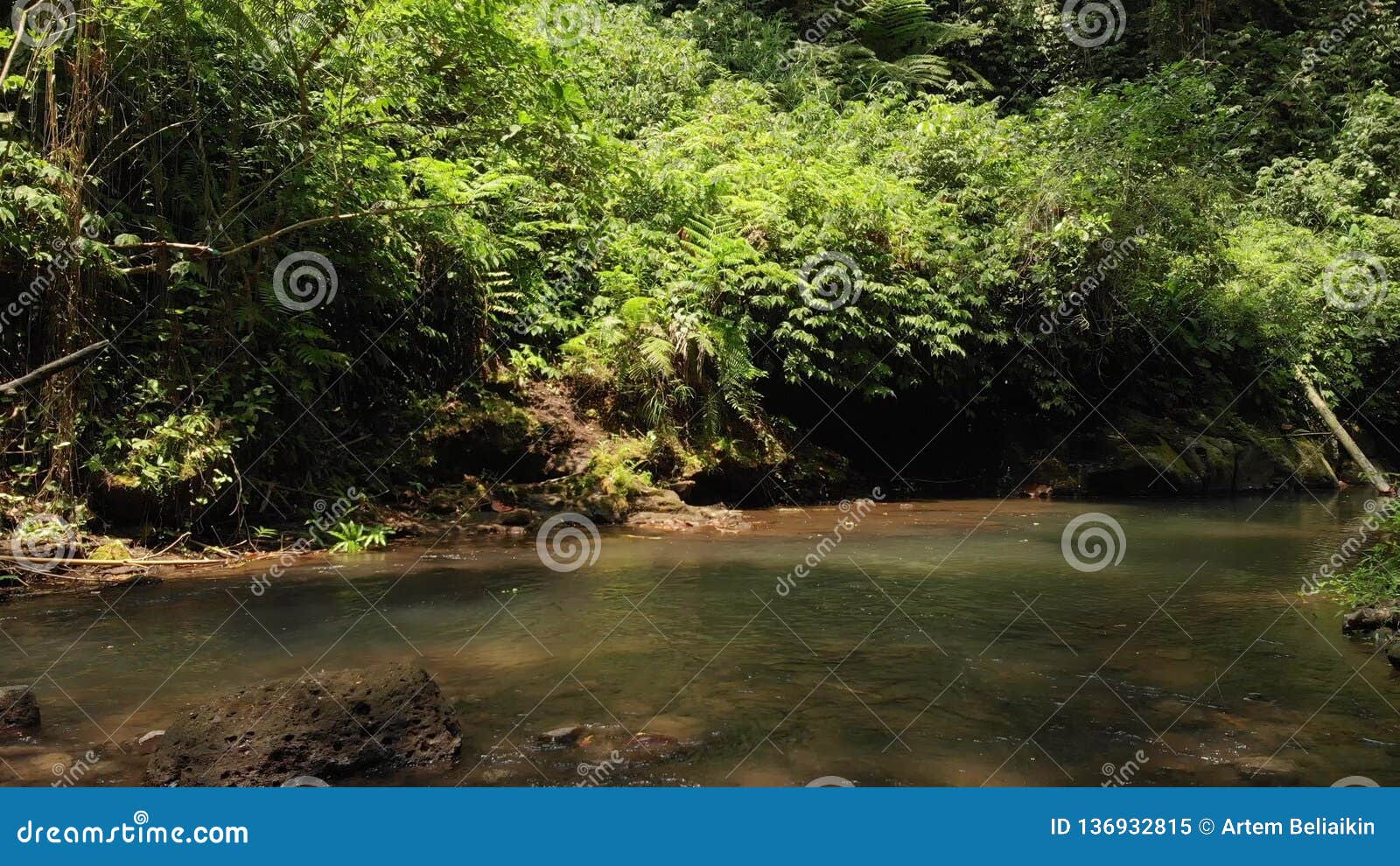 motto horisont kommando 4K Flying Drone Video Over the Mountain River in the Jungle of Bali Island,  Indonesia. Travelling Asia. Deep Rainforest Stock Image - Image of jungle,  aerial: 136932815