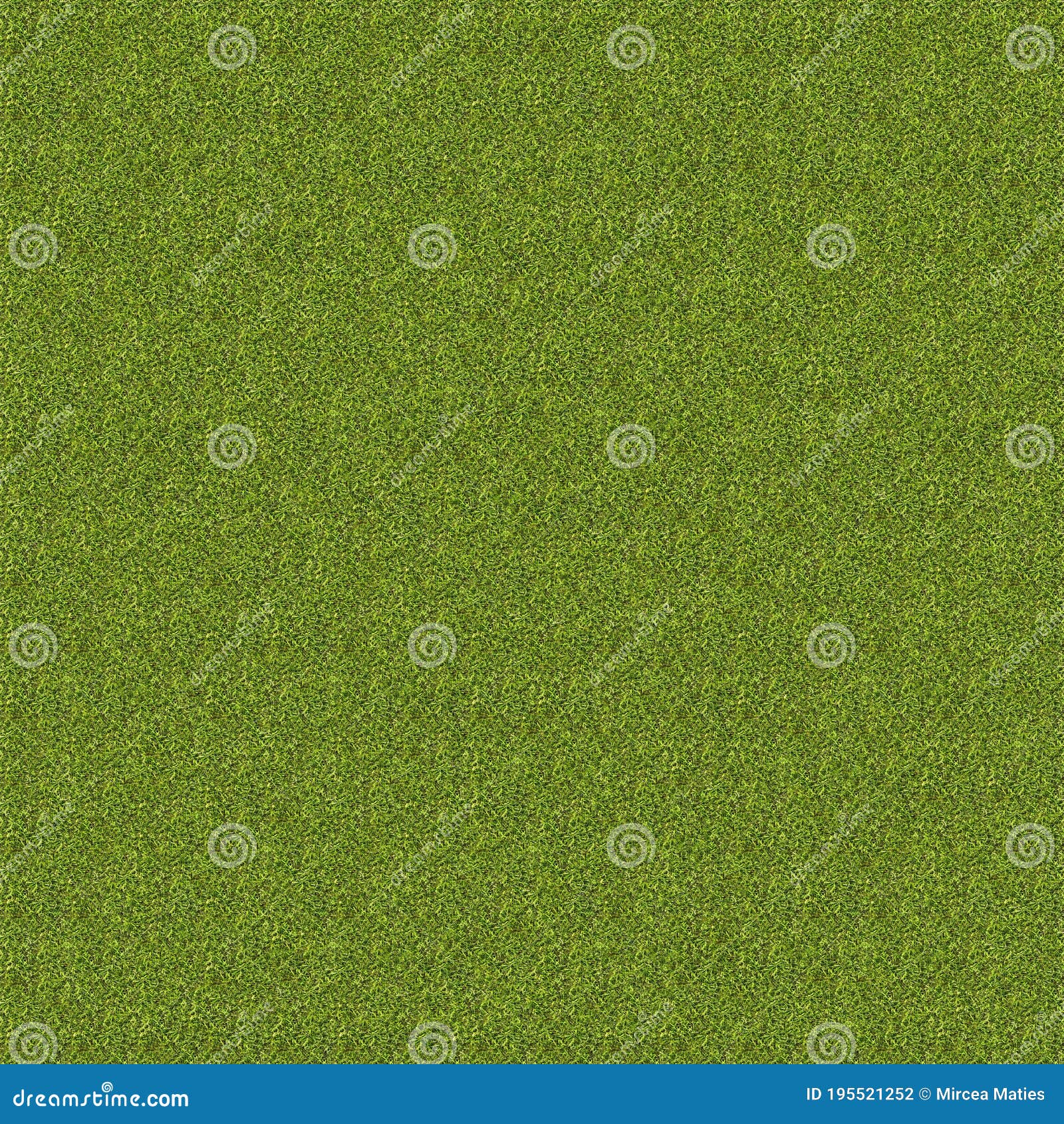 4k High Resolution Seamless Grass Texture Stock Illustration Illustration Of Outdoors Grassy 