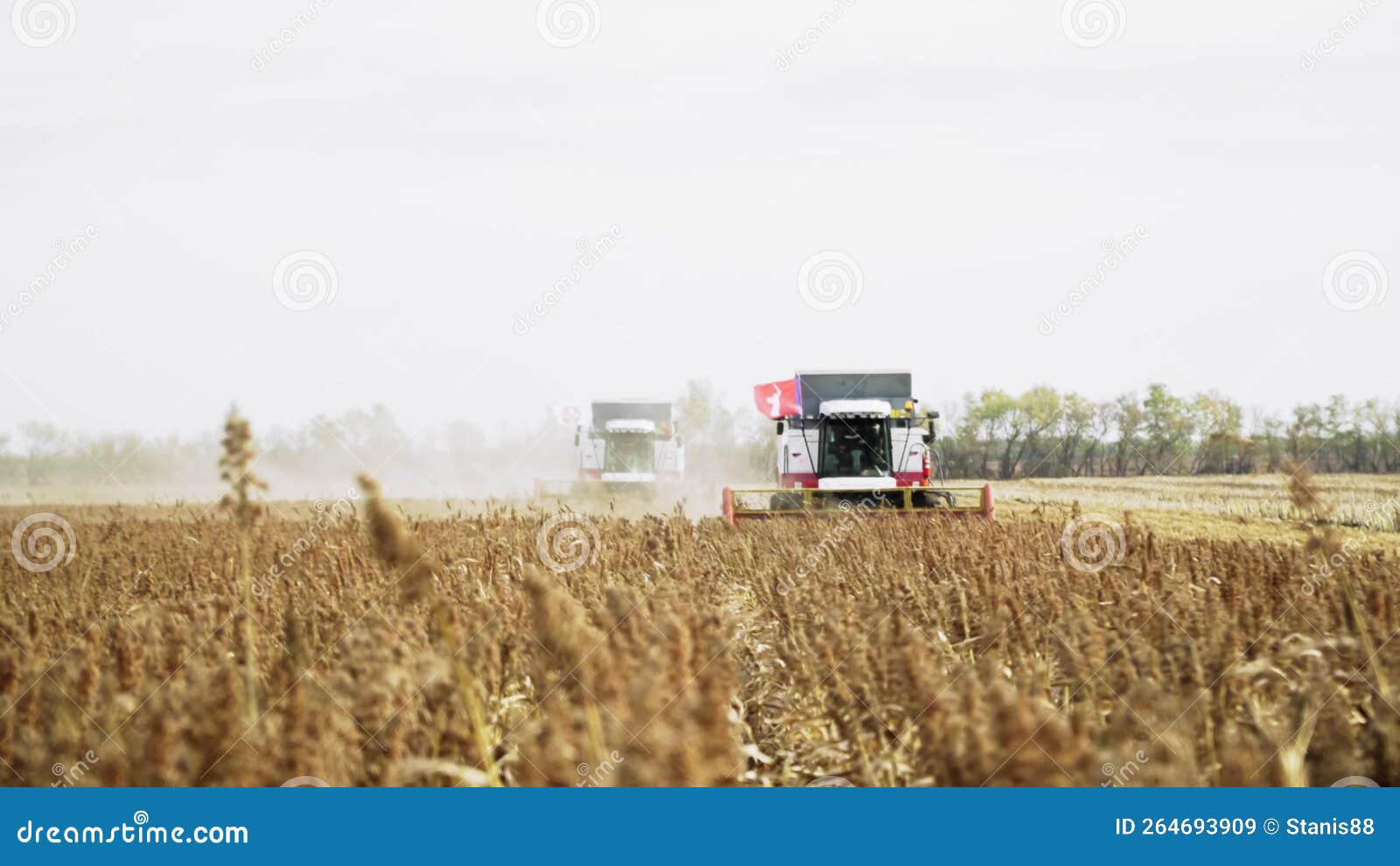 4K. Tractor with a Sowing Complex Works in the Field Stock Video Video of harvest, farming