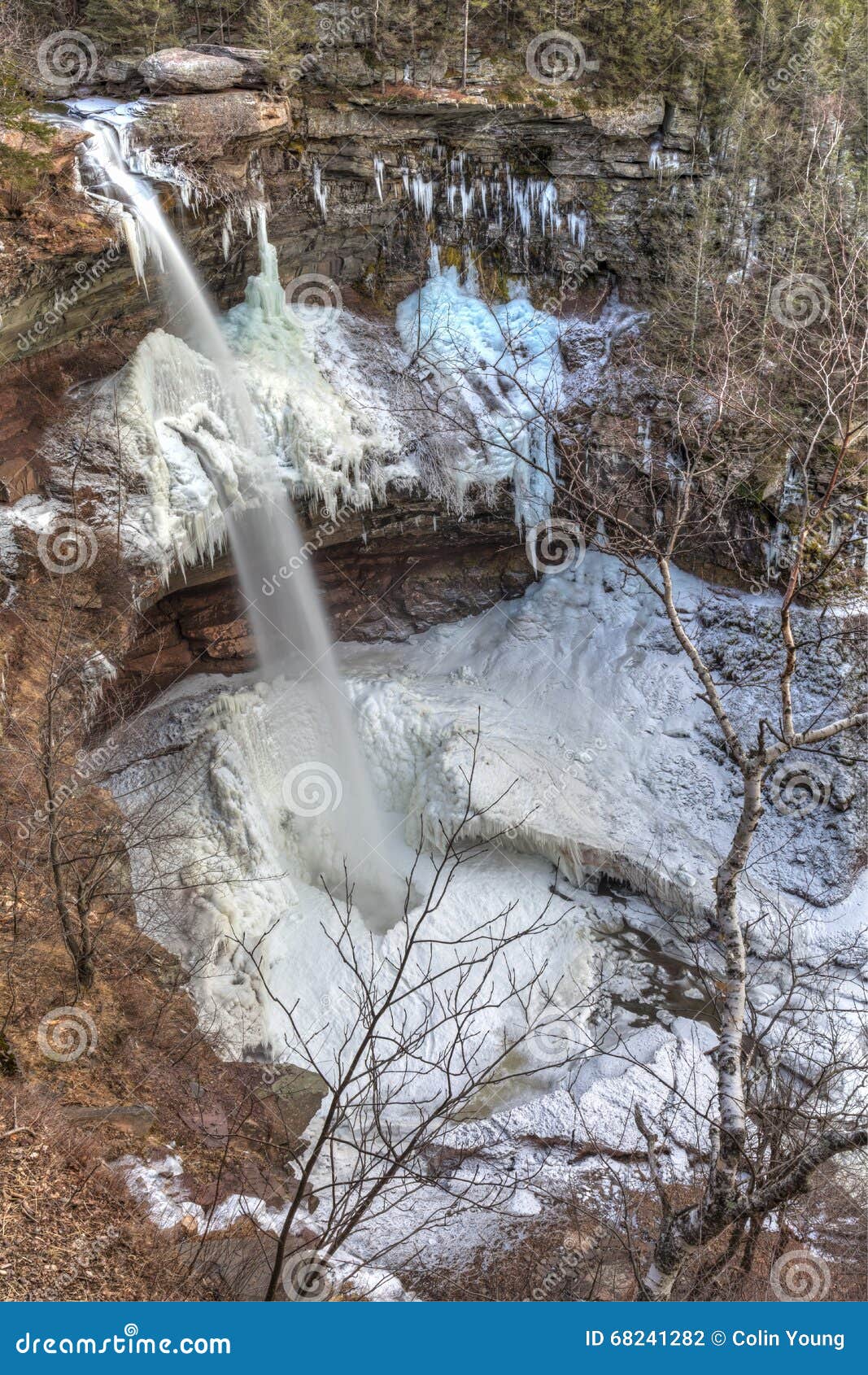 Kaaterskills Falls & Birch Tree Winter Stock Photo Image of icicles