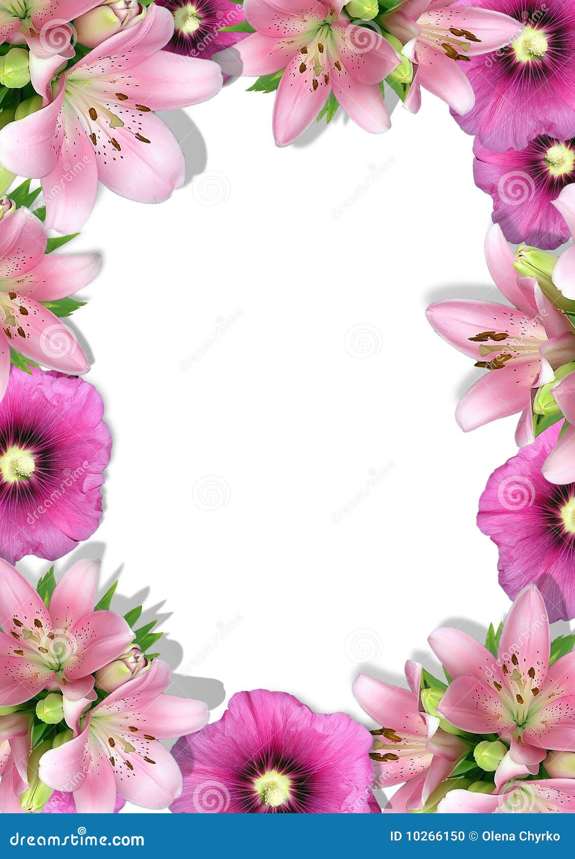 Kader Van Bloemen Stock Illustratie. Illustration Of Foto - 10266150