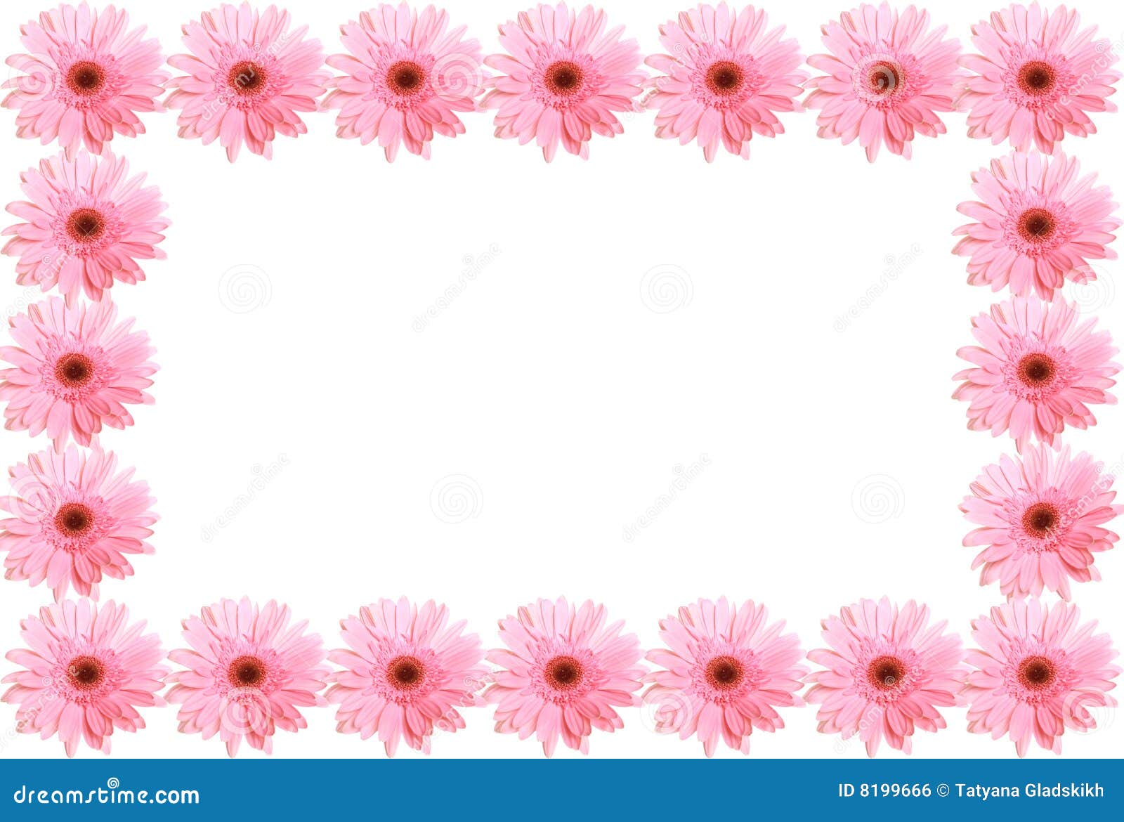 Kader Van Bloemen Stock Foto. Image Of Patroon, Beeld - 8199666