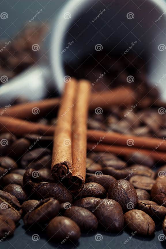 Kaffee und Zimt stockfoto. Bild von nahrung, blume, anis - 26486638