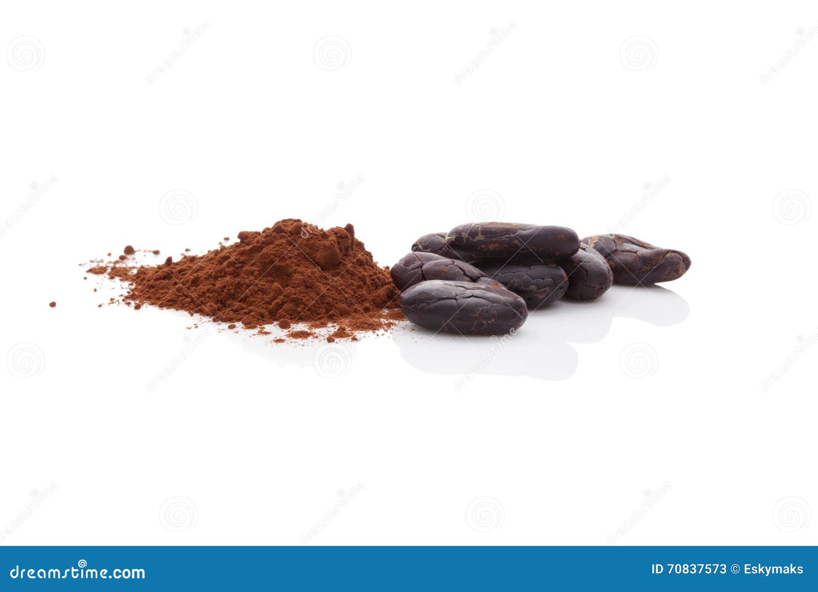 Kakaobohnen Und Kakaopulver Stockbild Bild von trocken, braun 70837573