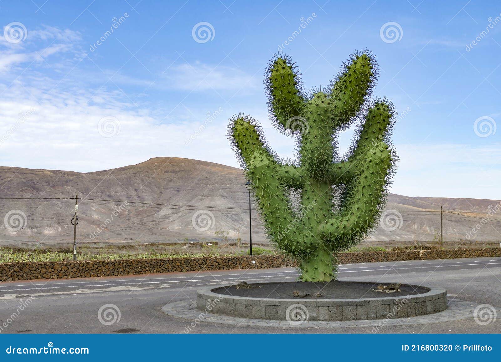 Kaktuskulptur stockfoto. Bild von grün, insel, draussen - 216800320