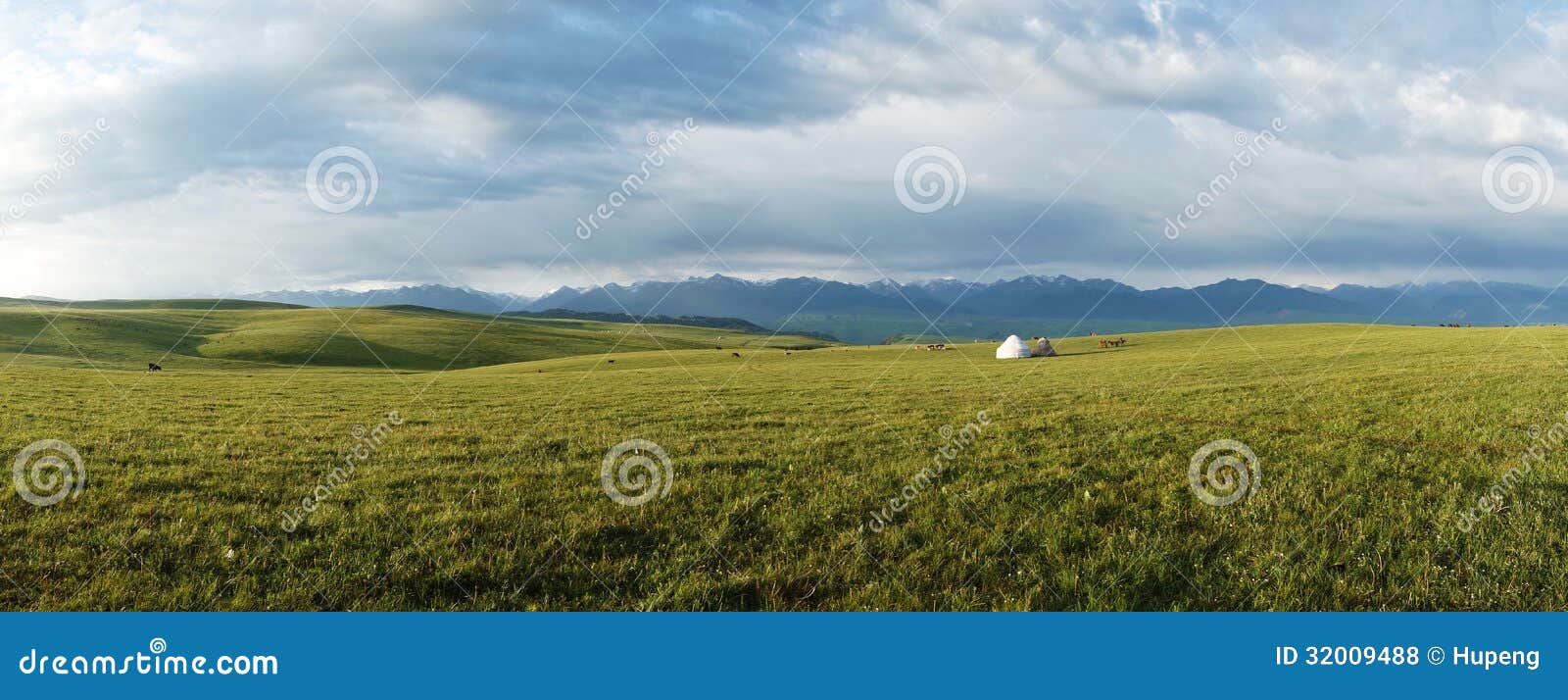 Kalajun Grassland in Summer Stock Photo - Image of farmland, ecology ...