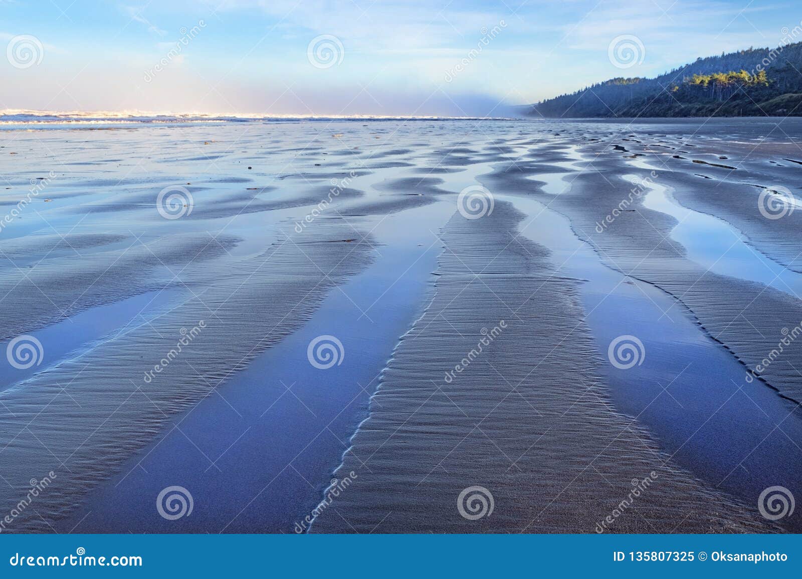 Kalaloch Beach, Olympic Peninsula, WA Stock Image Image of sand, pacific 135807325