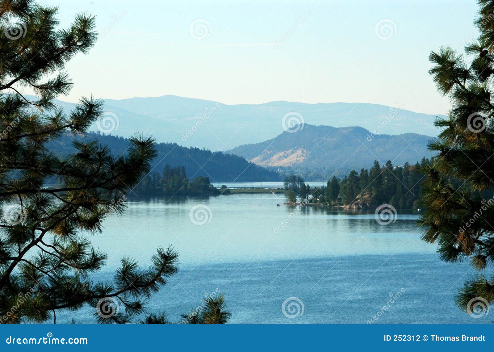 View of Lake Bracketed by Ponderosa Pine Stock Photo Image of valley