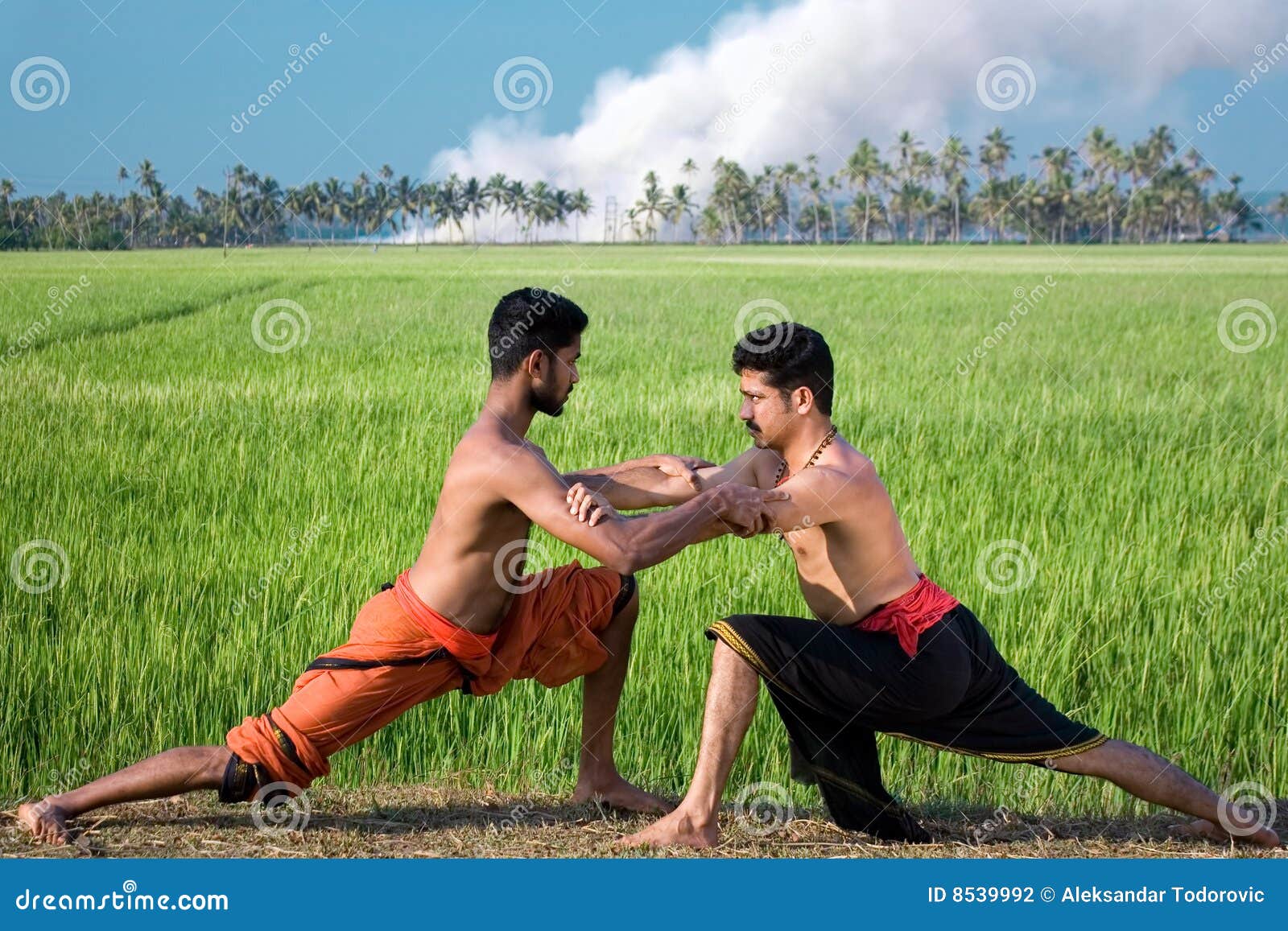 Kalari, indian martial art stock photo. Image of concentration 8539992