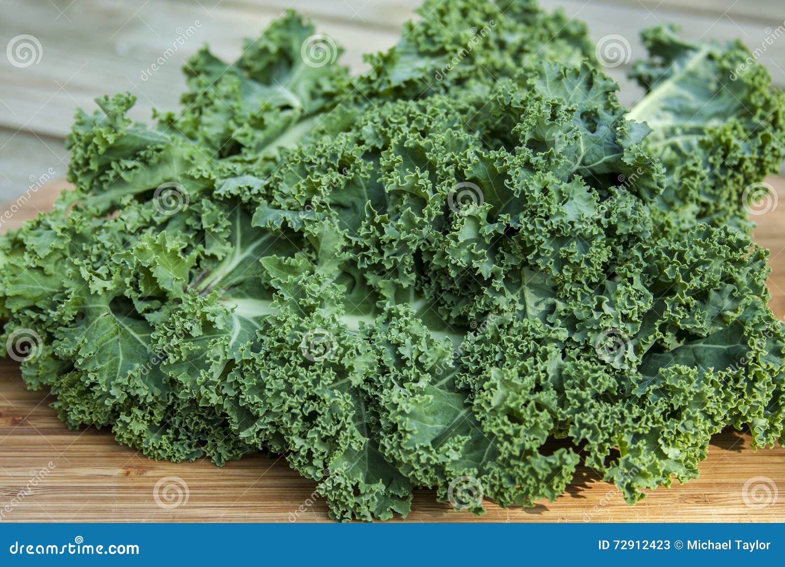 Kale Leaf Cabbage stock image. Image of lose, garden 72912423