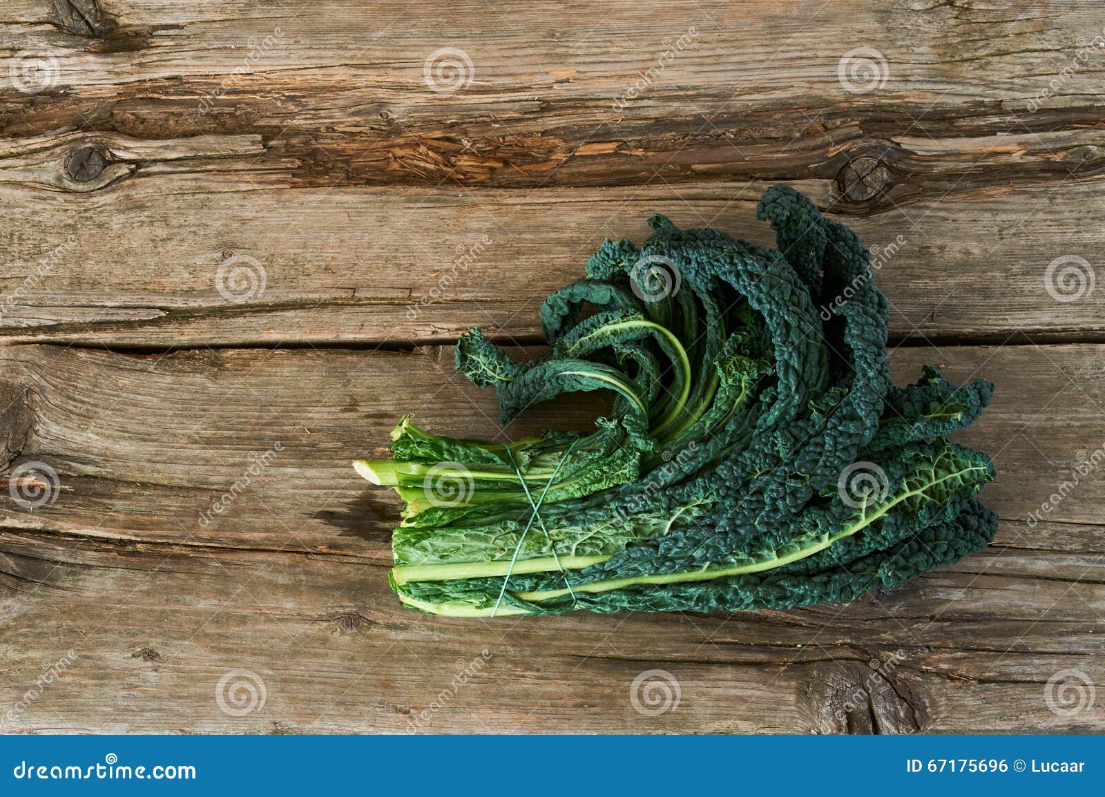 Kale or leaf cabbage stock photo. Image of leaf, fresh 67175696