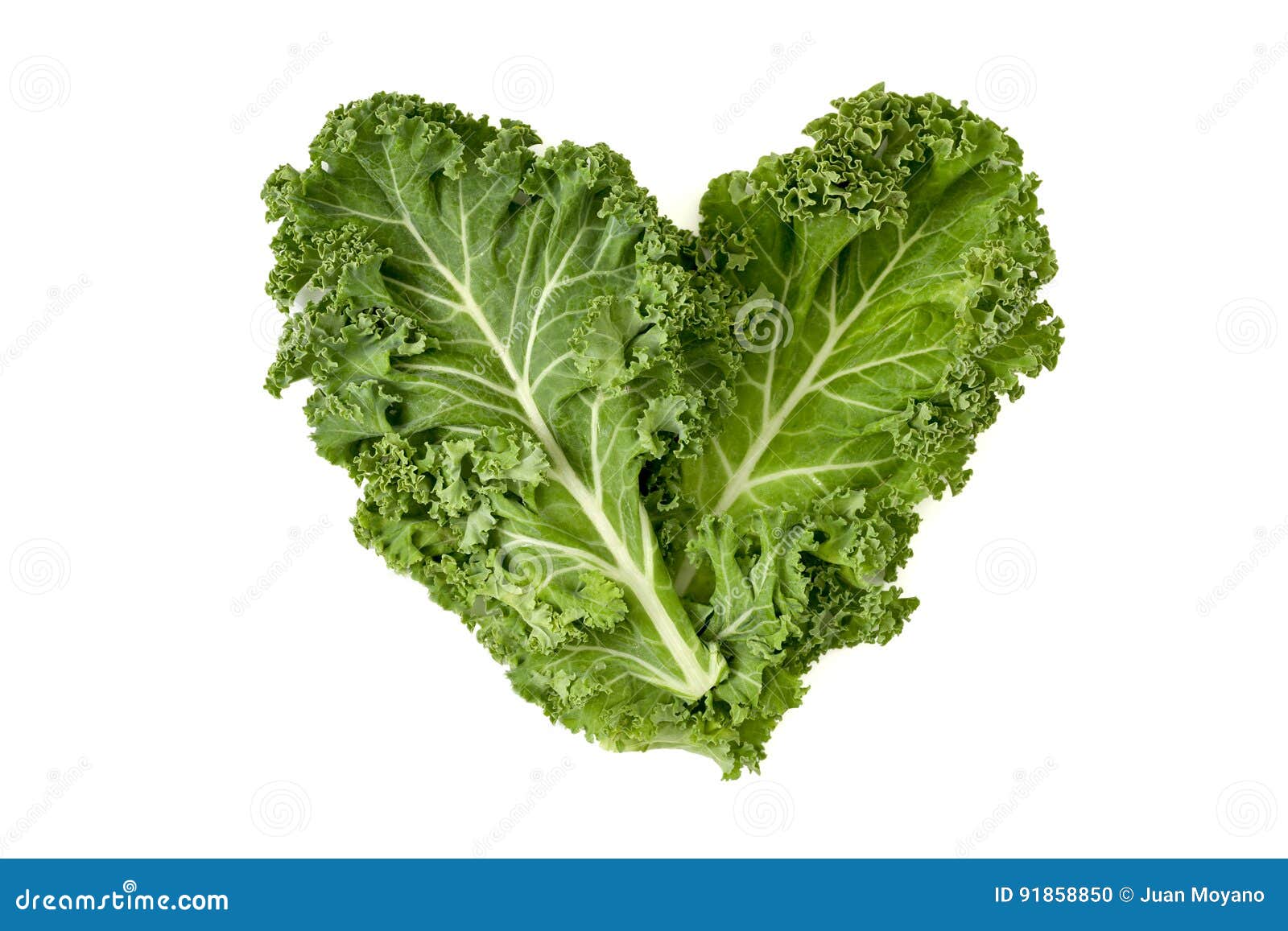 Kale Leaves Forming a Heart Stock Photo Image of like, gastronomy