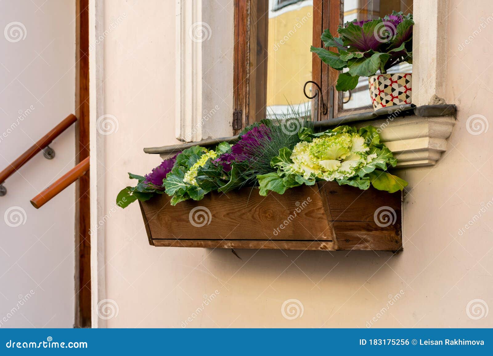 Arreglo floral en una ventana decorativa de madera macetas con flores y  cactus se encuentran en la ventana de la tienda de flores